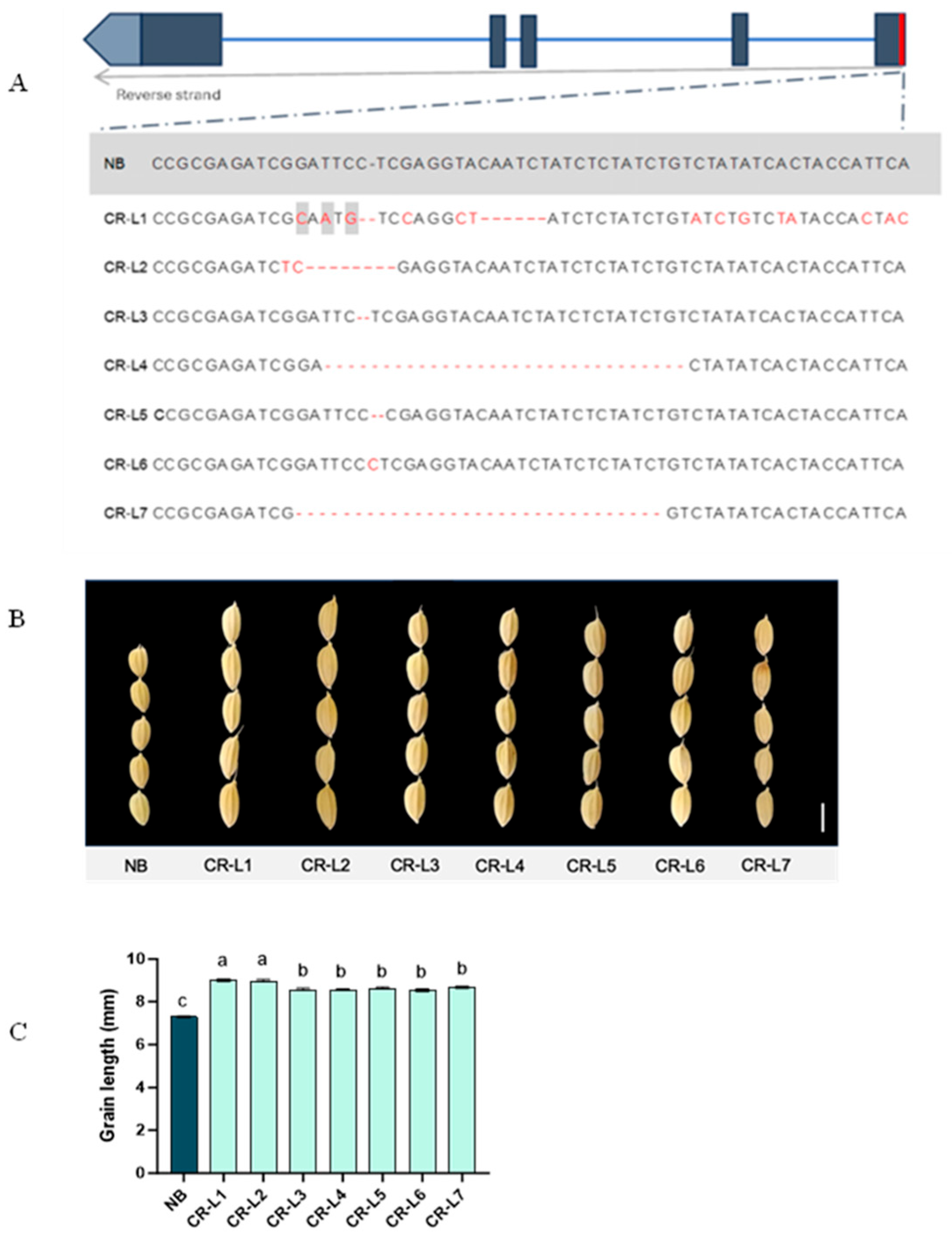 Plants 14 02897 g001