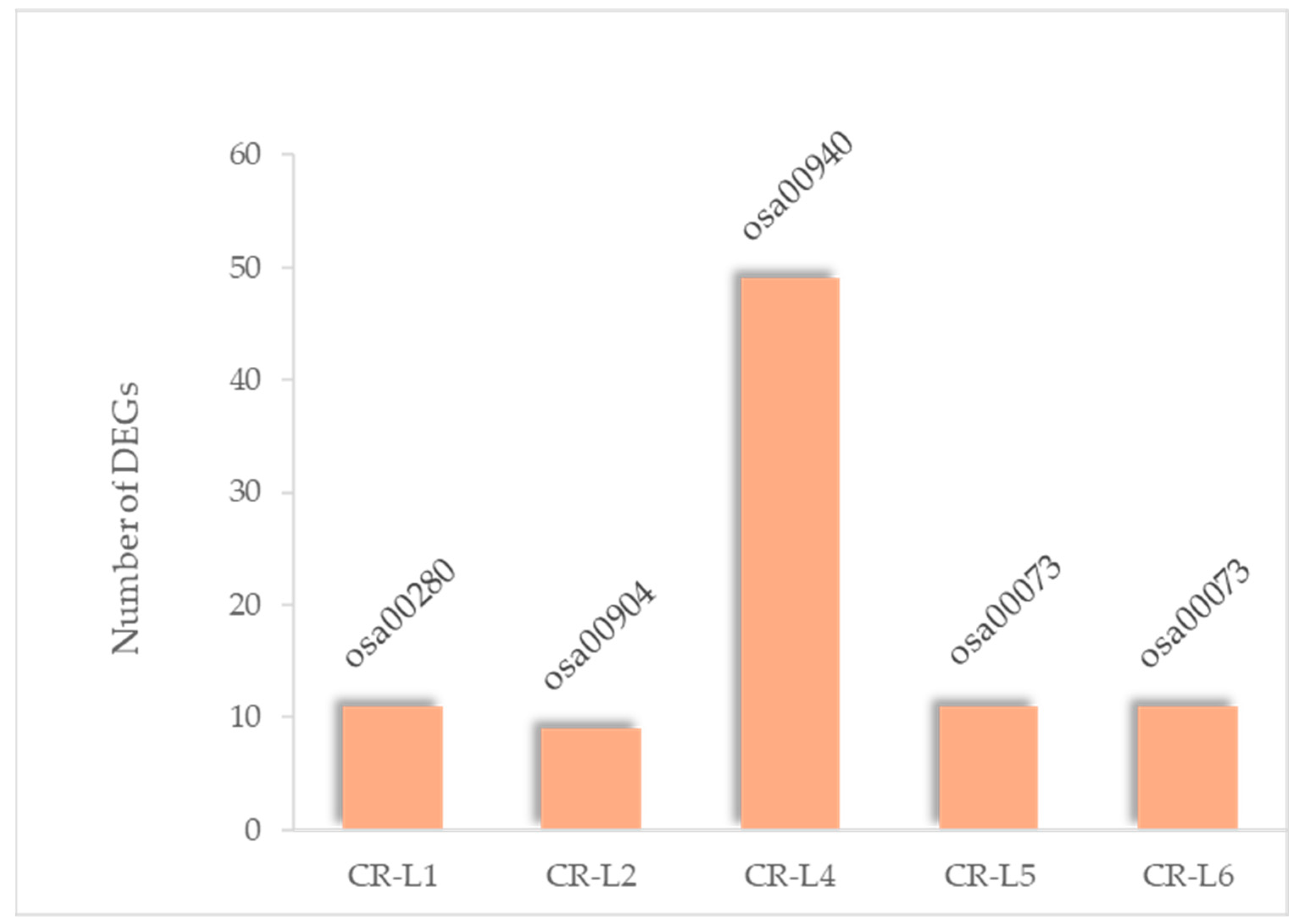 Plants 14 02897 g005
