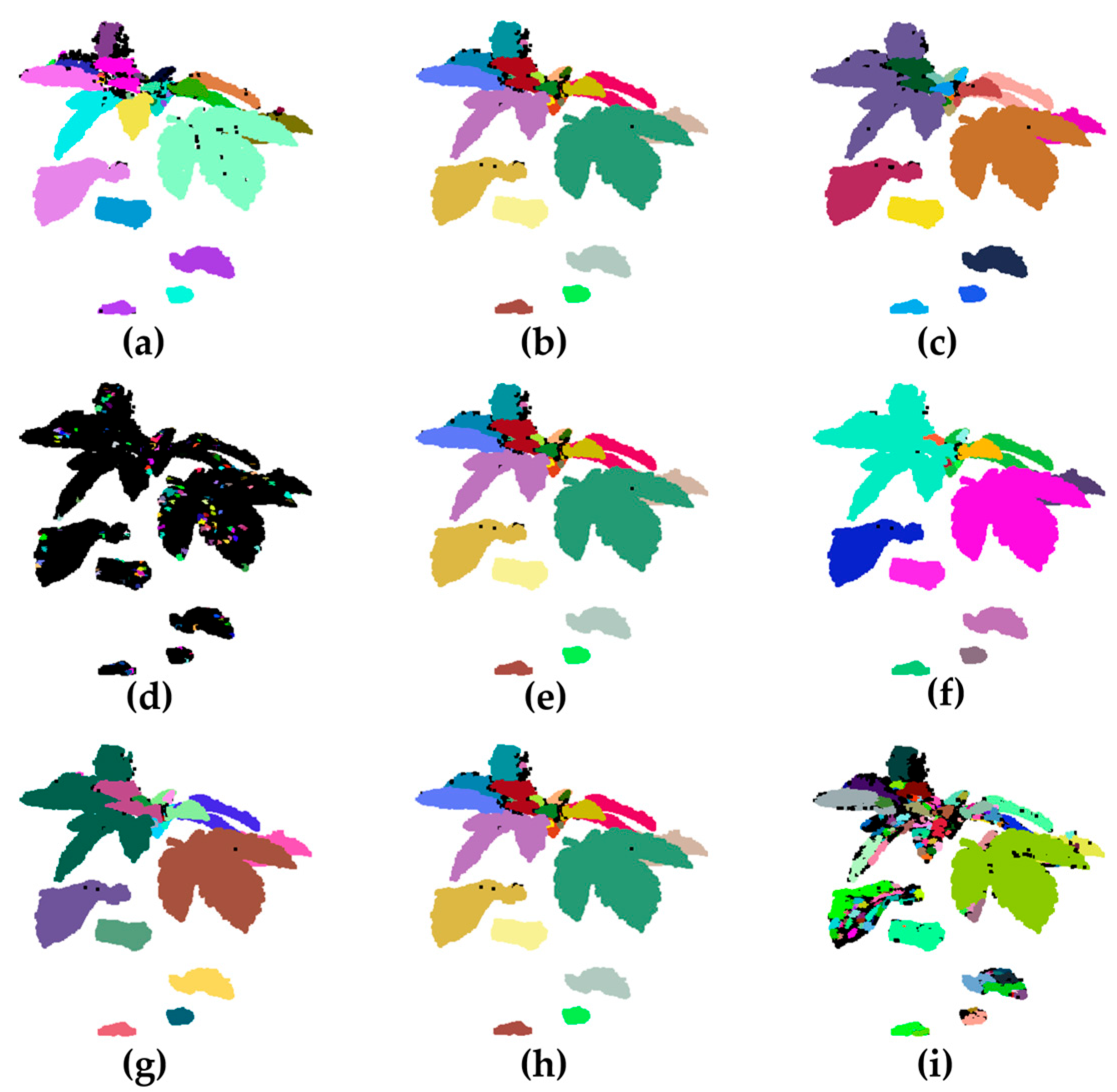 Plants 14 02898 g010 Plants 14 02898 g010