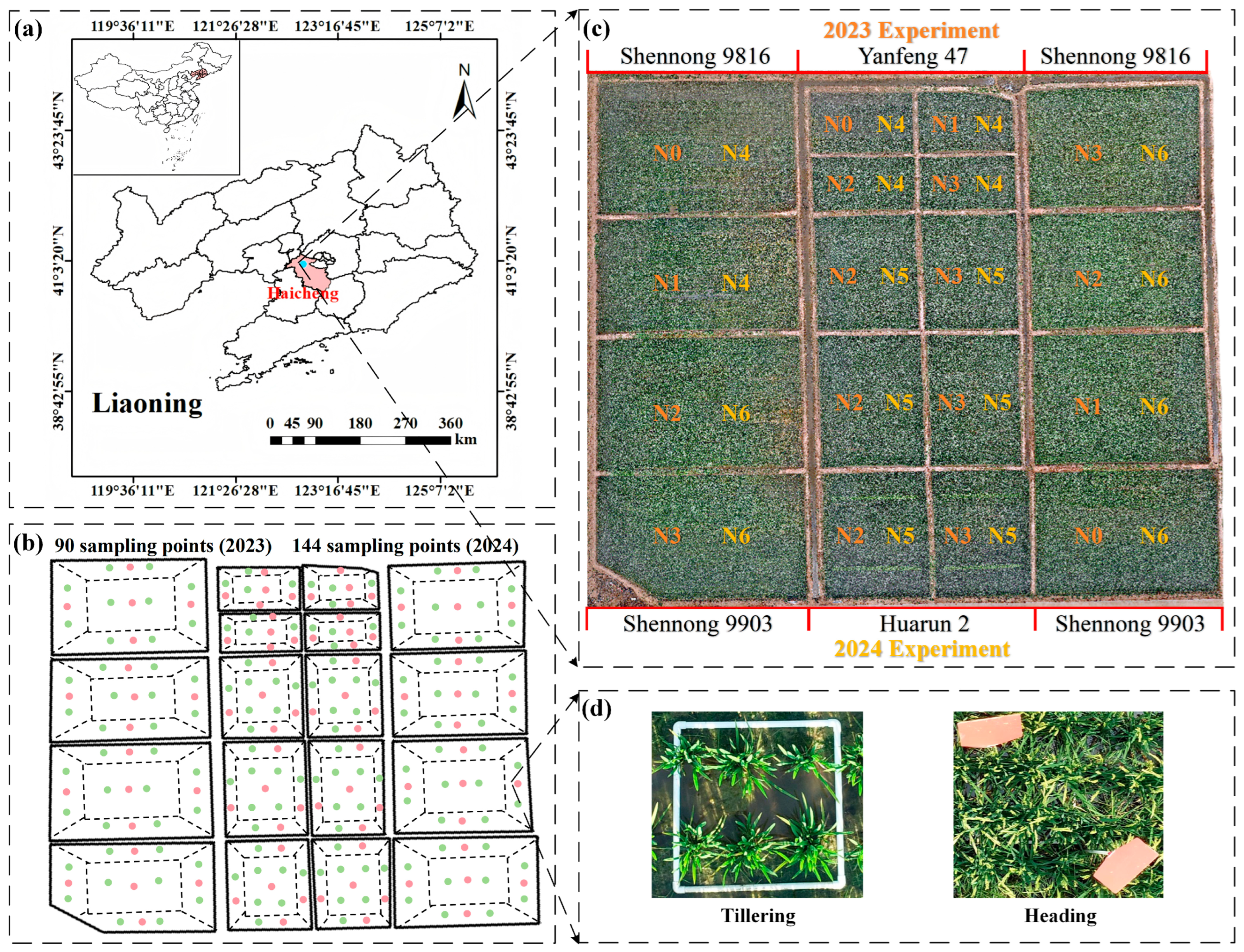 Plants 14 02903 g001 Plants 14 02903 g001