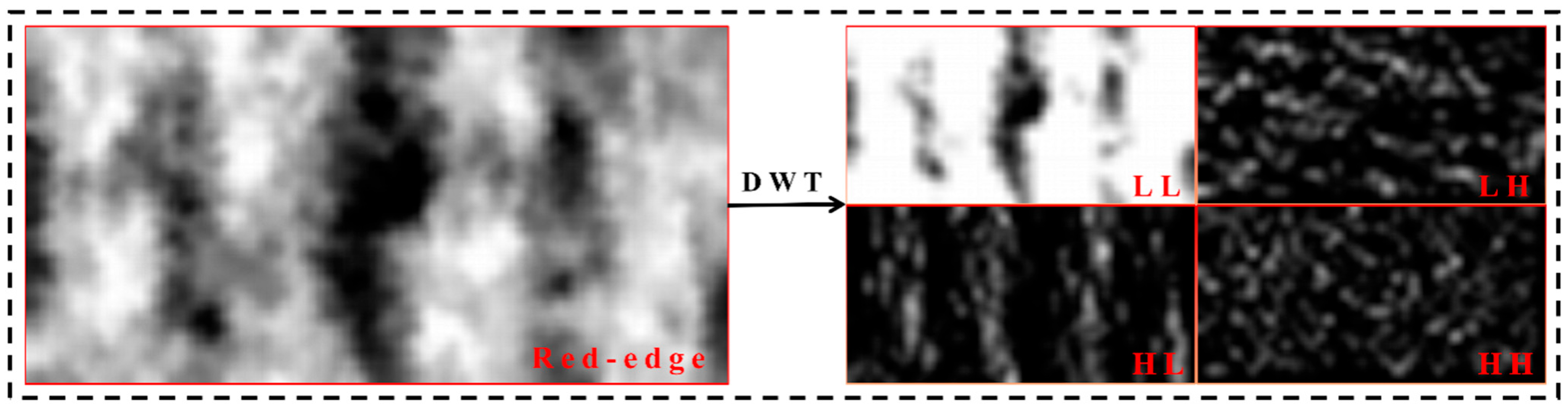 Plants 14 02903 g004 Plants 14 02903 g004