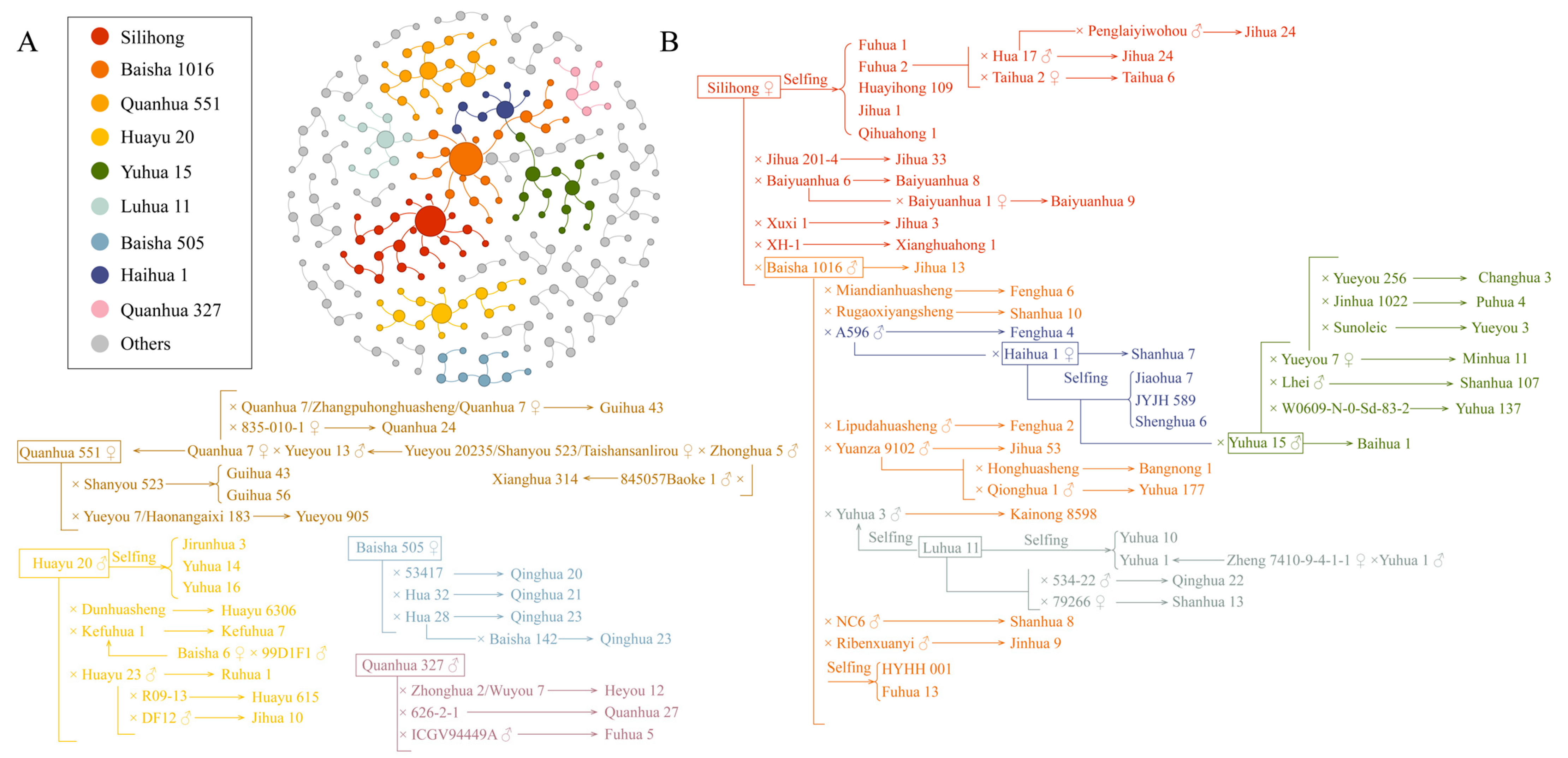 Plants 14 02917 g004
