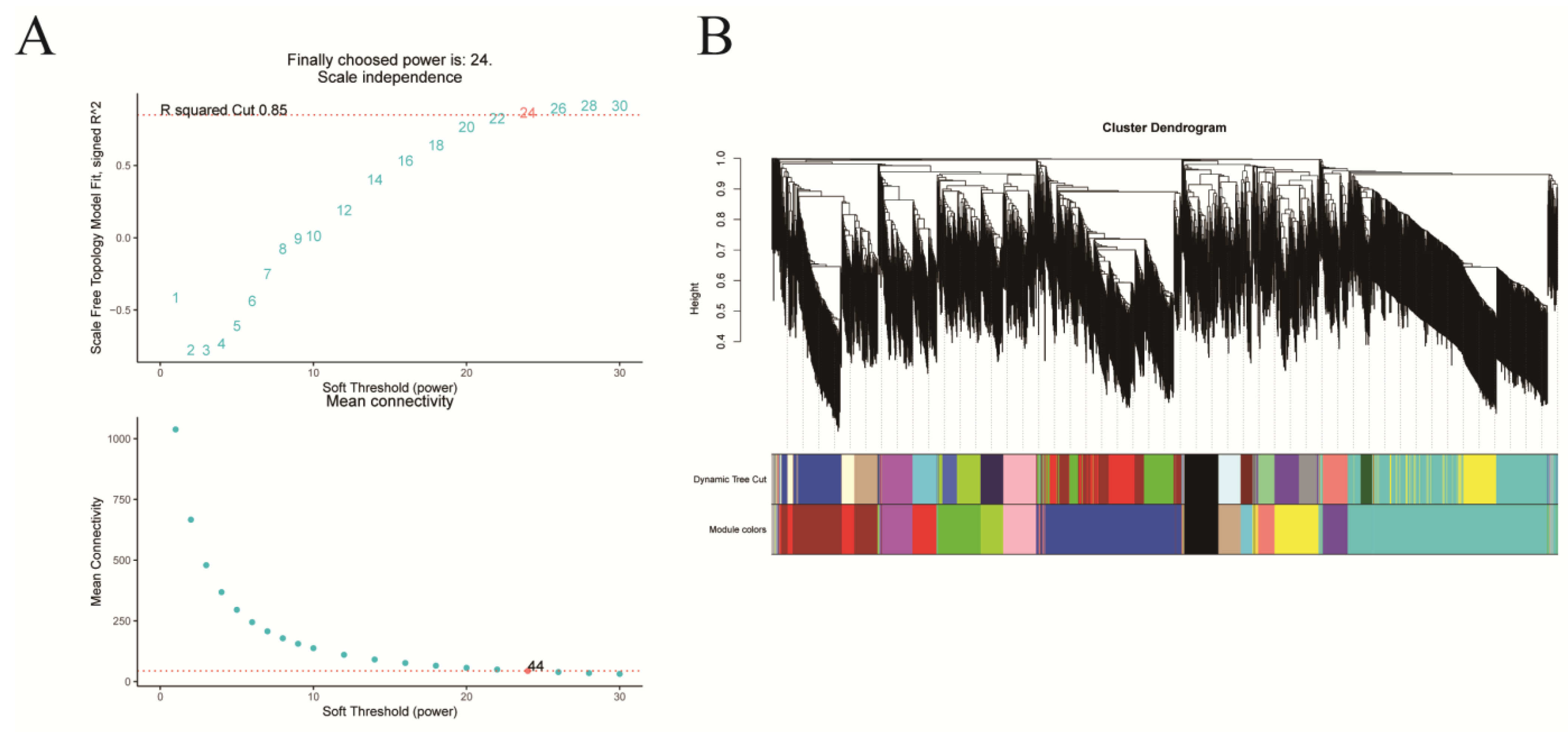 Plants 14 02945 g005a