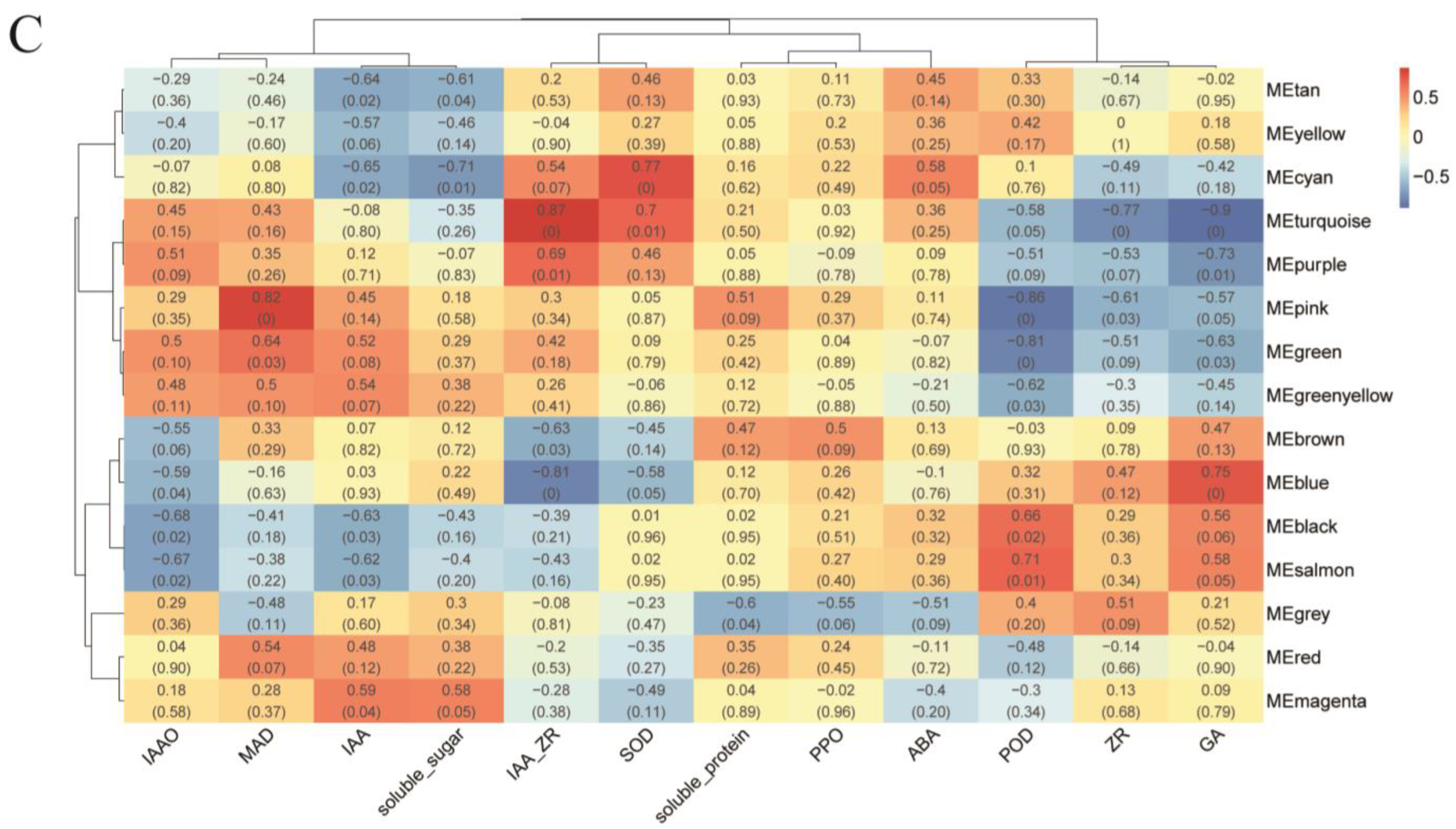 Plants 14 02945 g005b