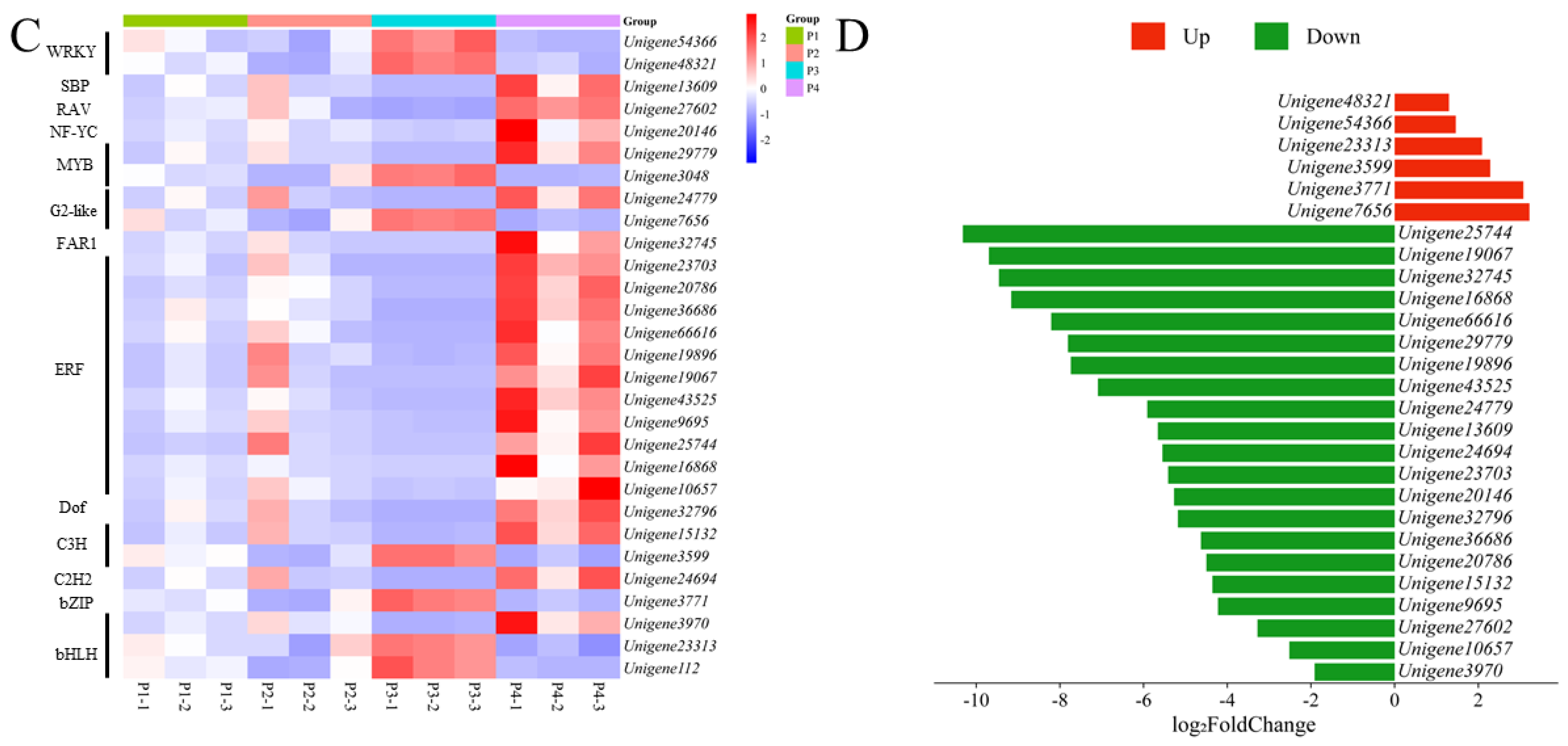 Plants 14 02945 g006b