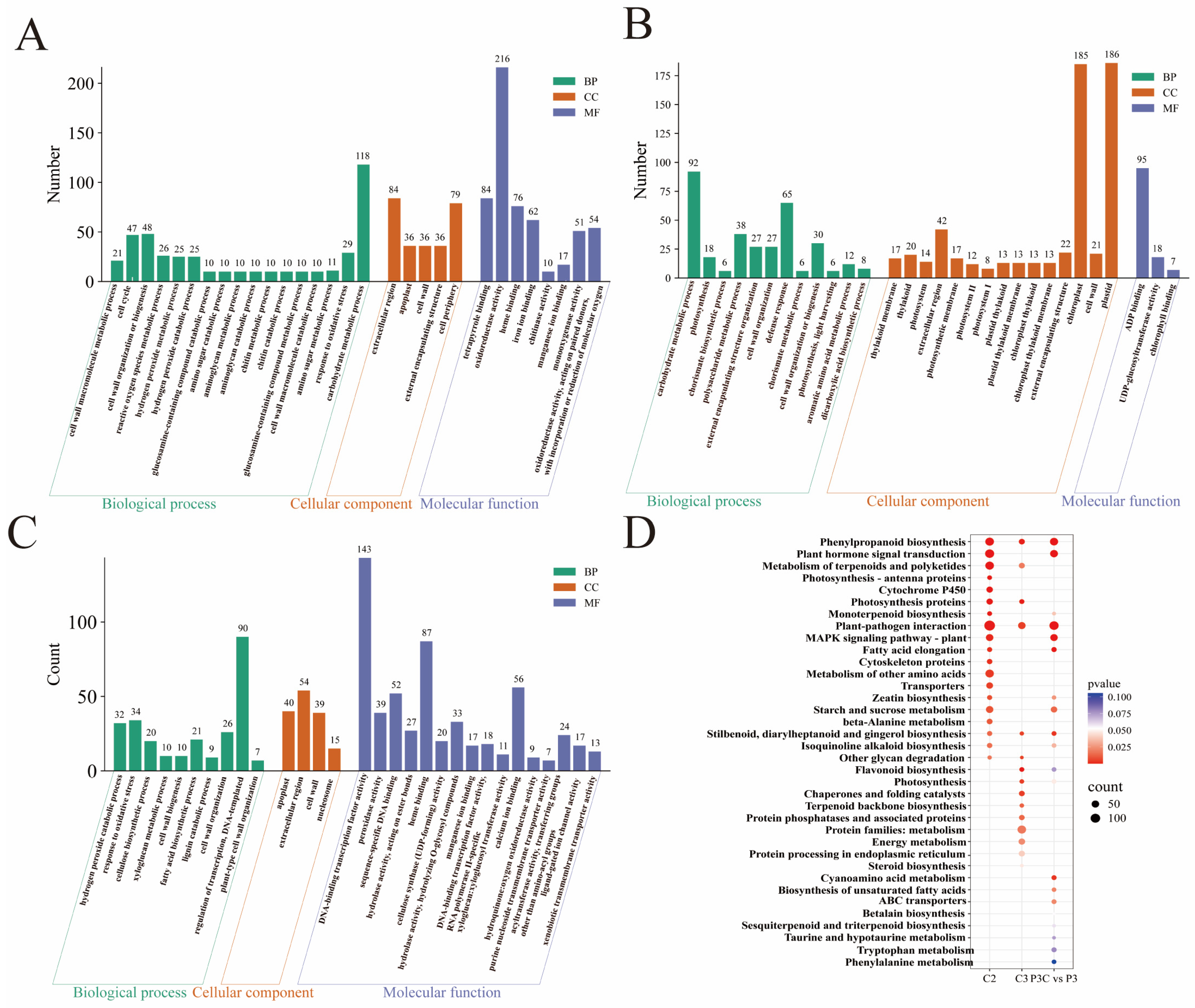 Plants 14 02945 g008