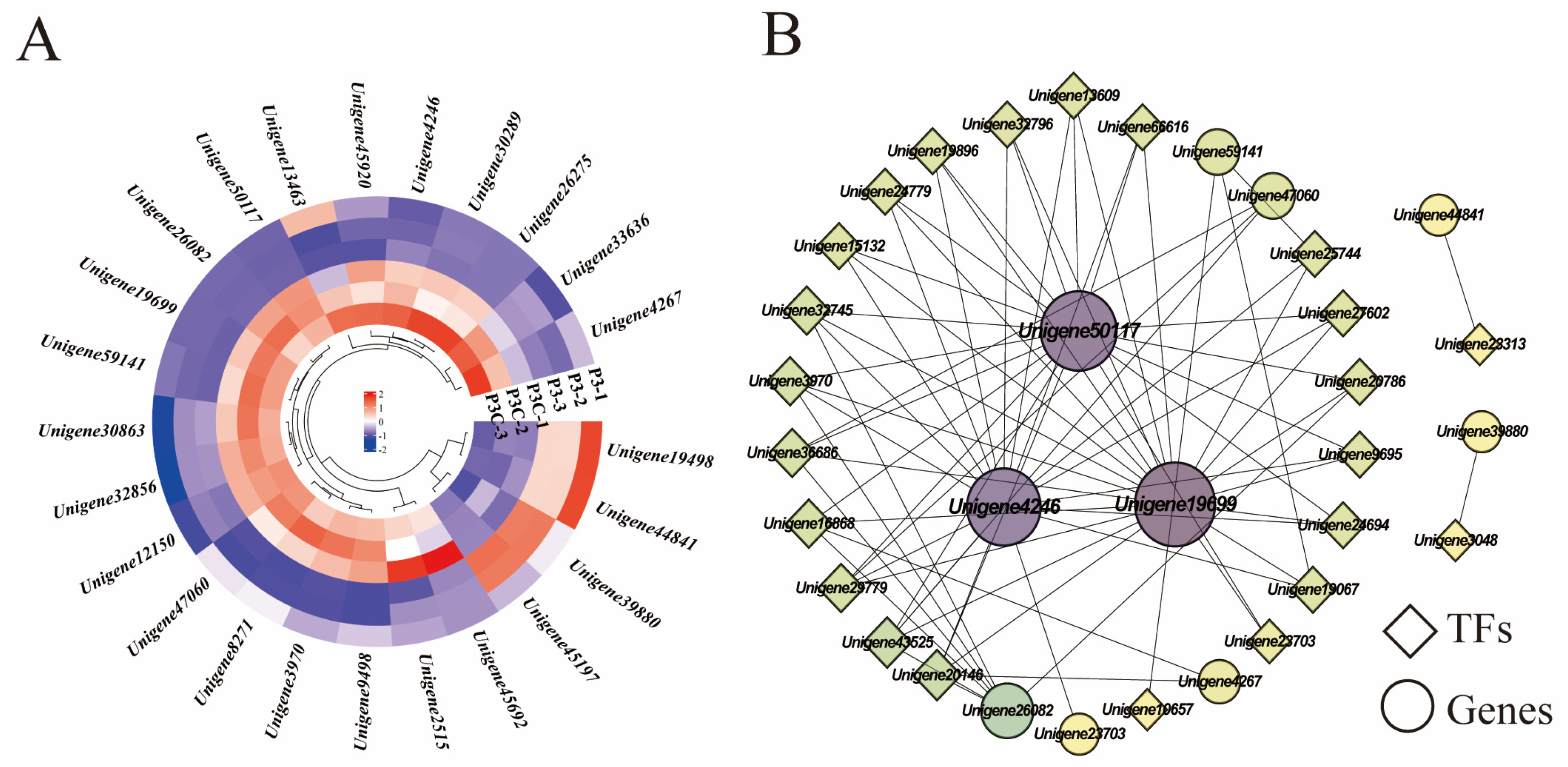 Plants 14 02945 g009