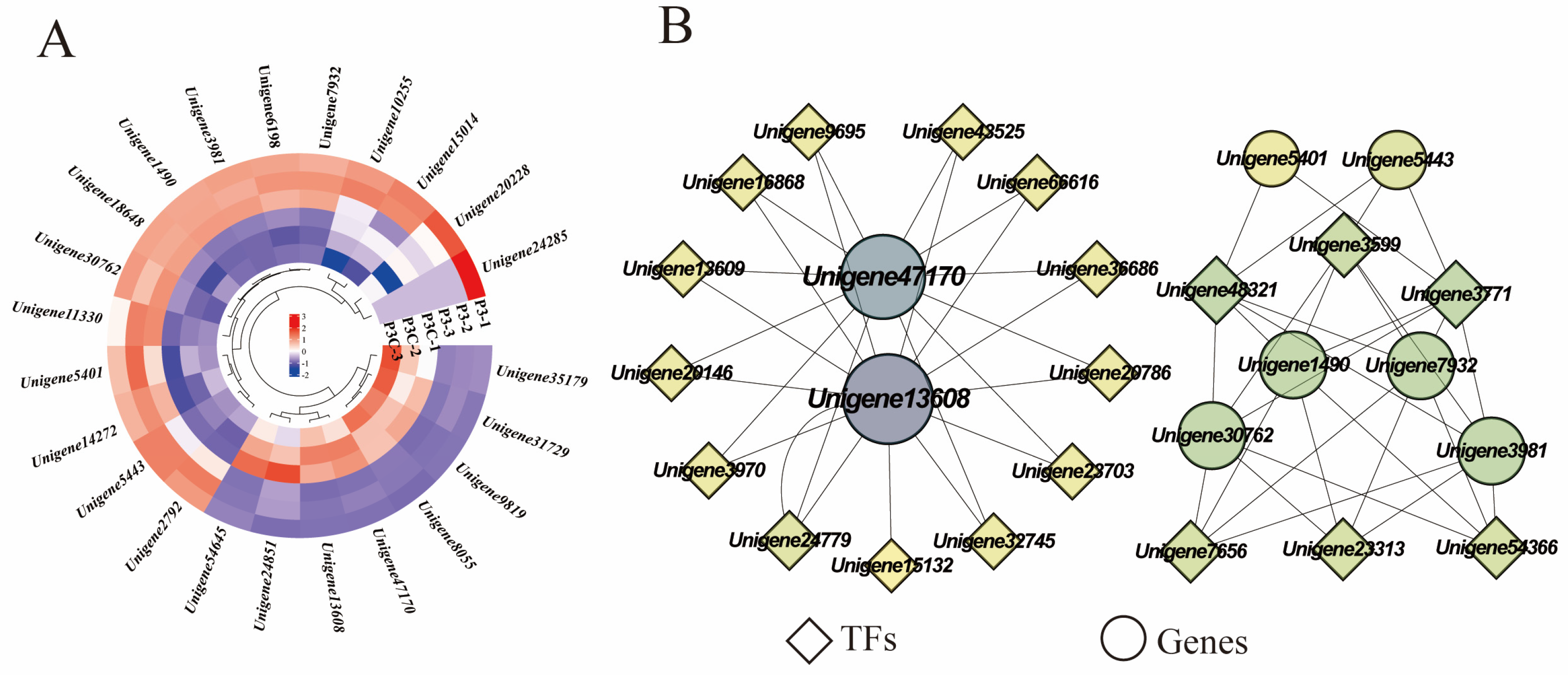 Plants 14 02945 g010