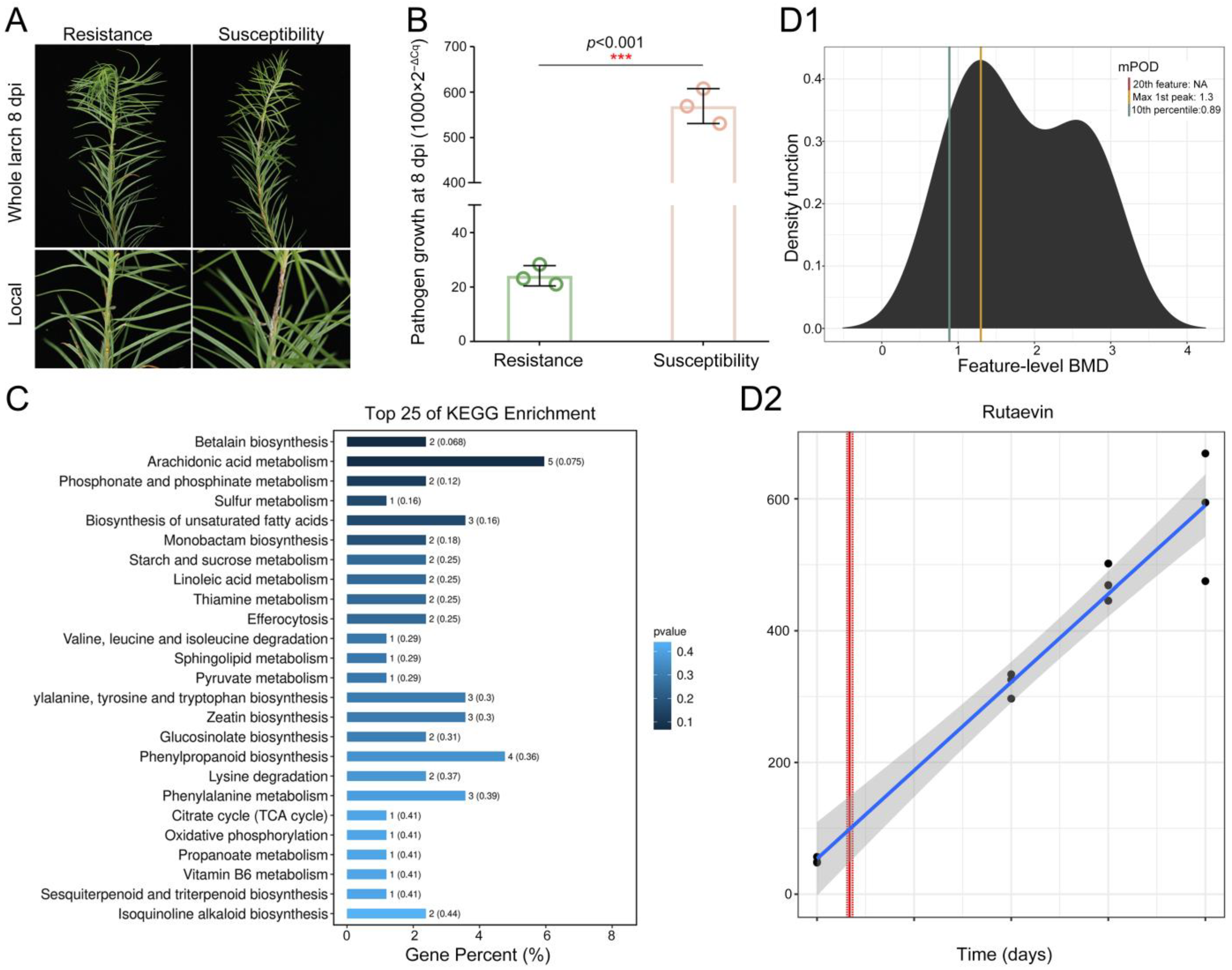 Plants 14 02947 g001