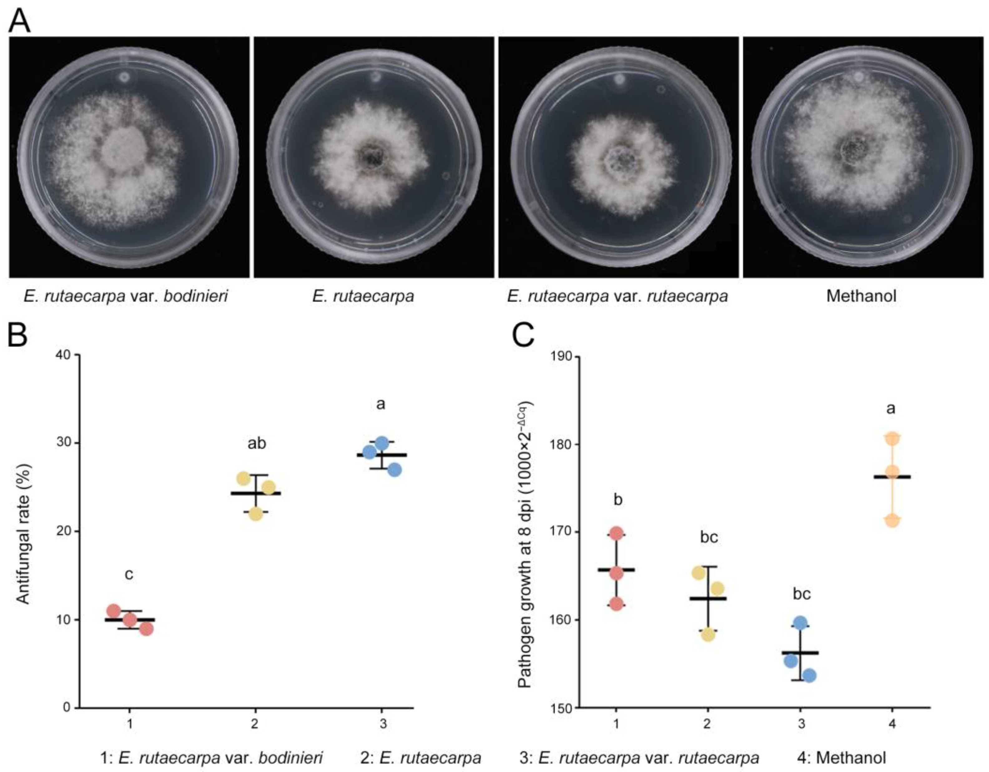 Plants 14 02947 g004