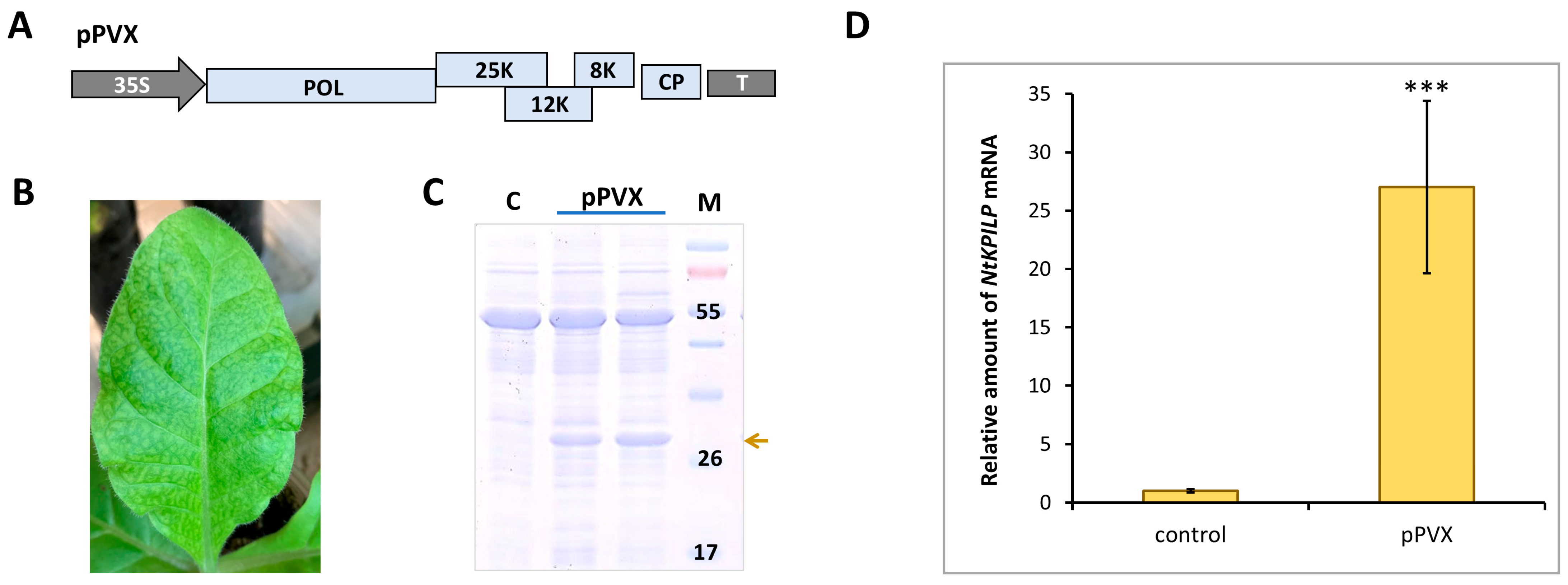 Plants 14 02955 g005 Plants 14 02955 g005