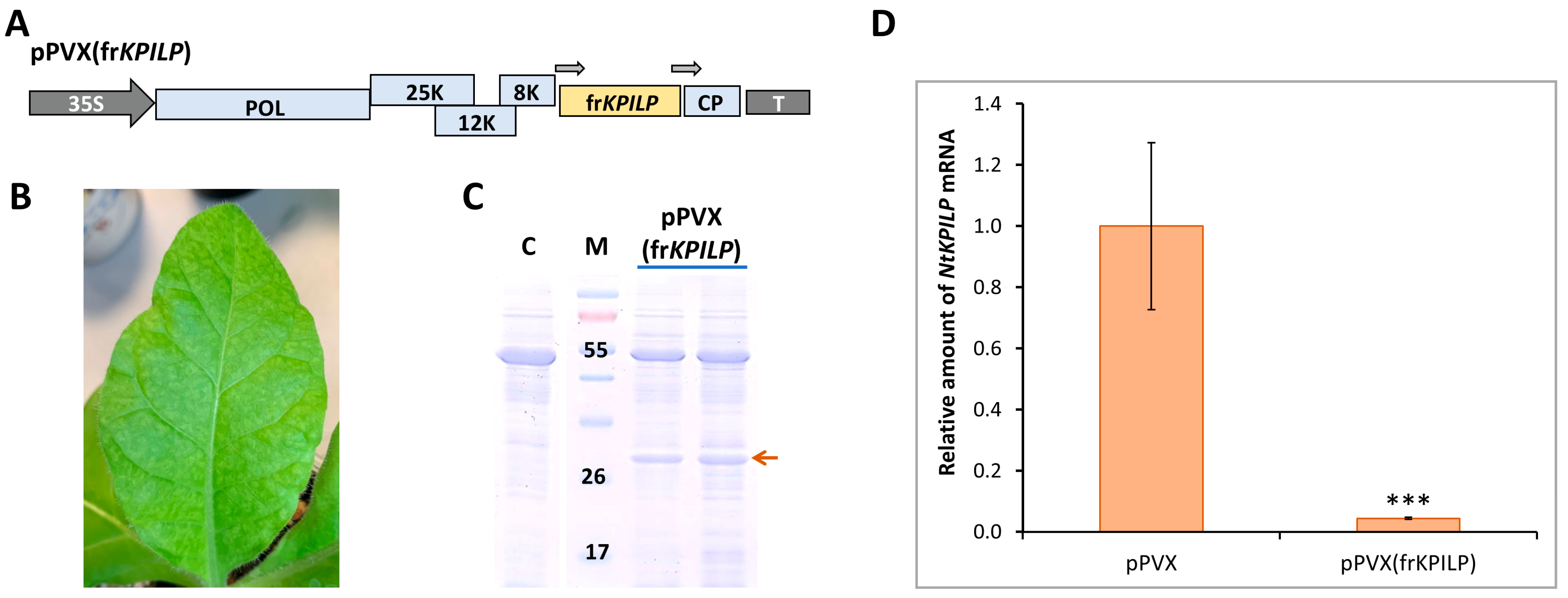 Plants 14 02955 g006 Plants 14 02955 g006