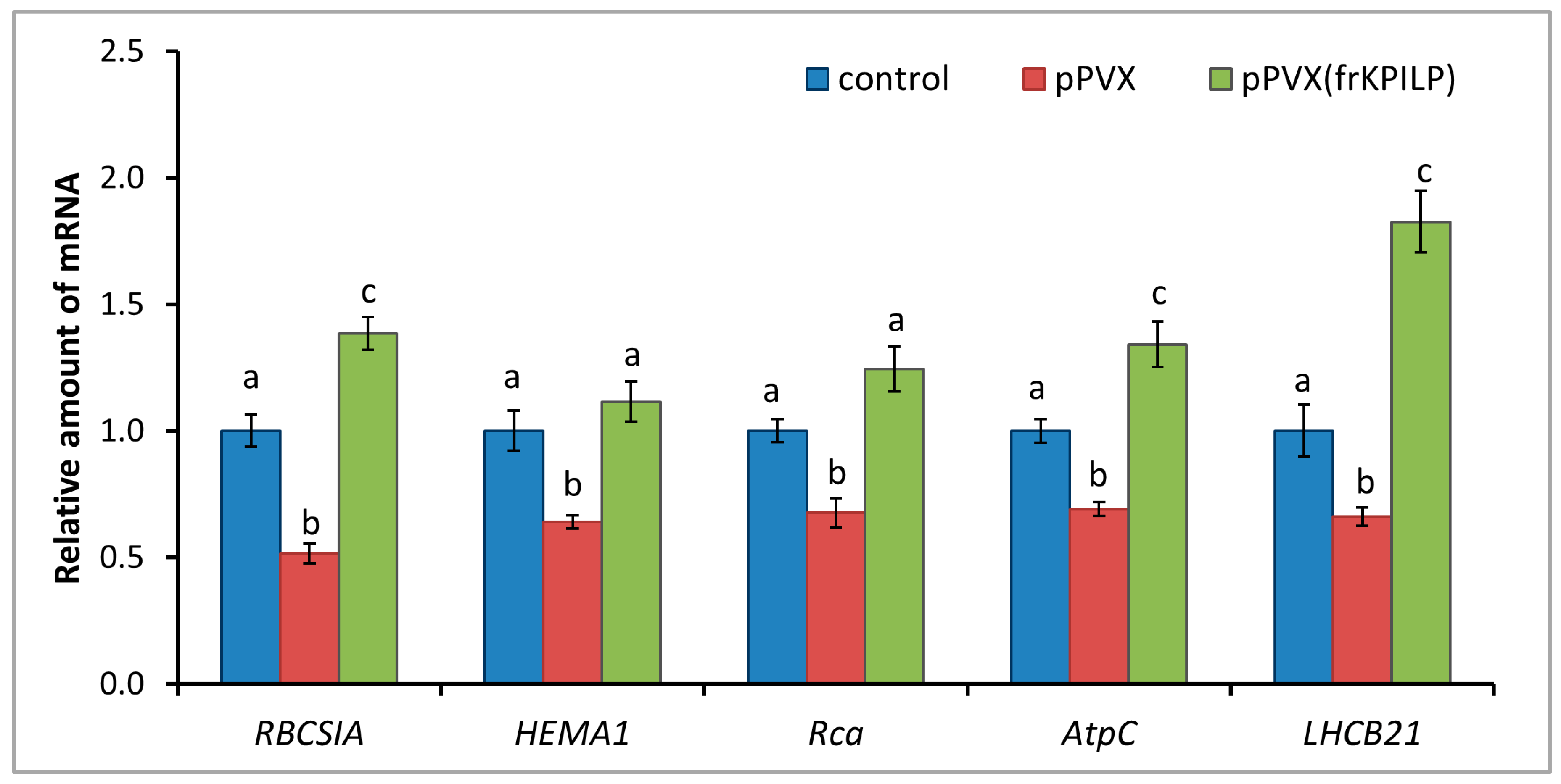 Plants 14 02955 g007 Plants 14 02955 g007