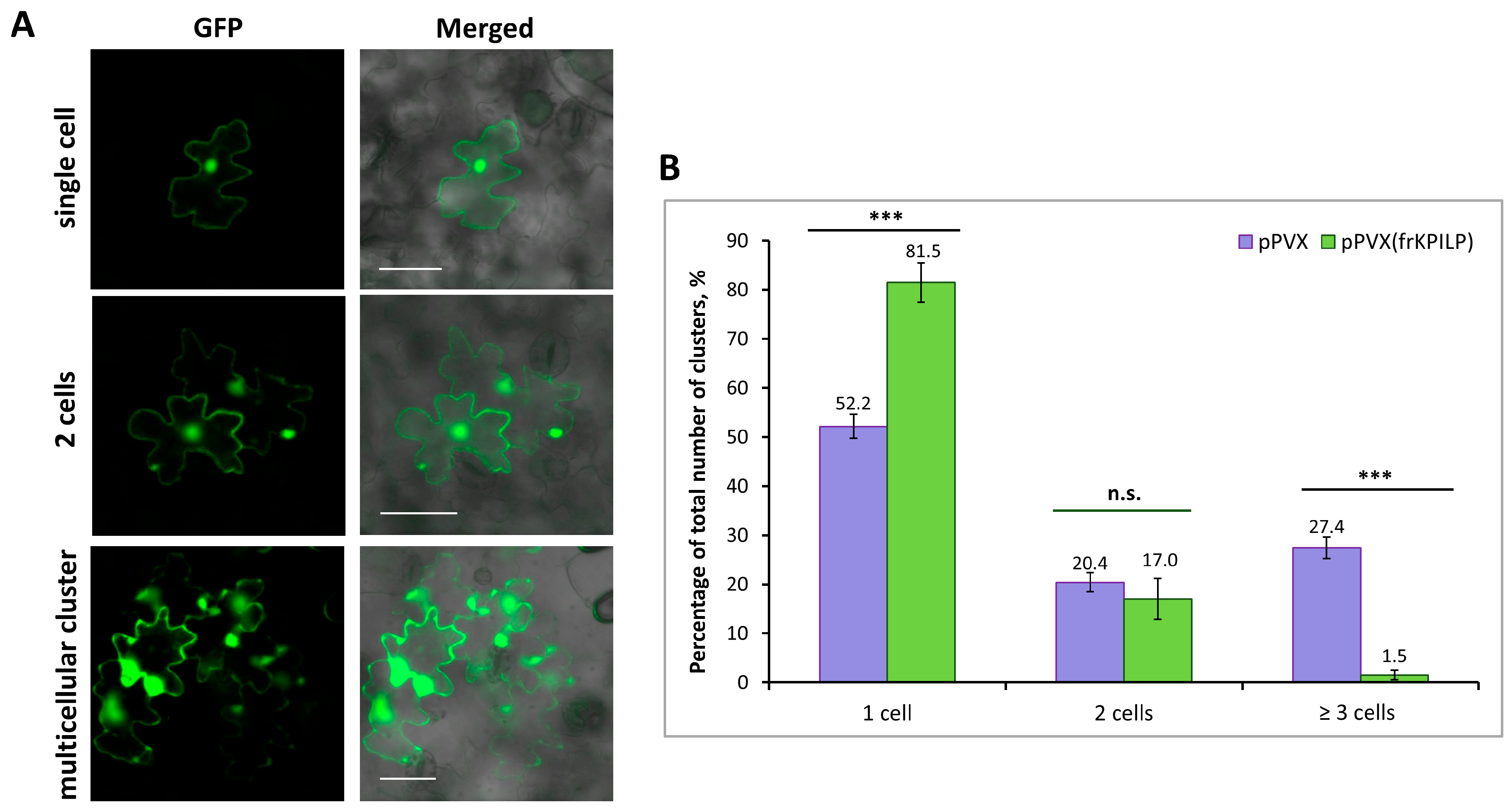 Plants 14 02955 g008 Plants 14 02955 g008