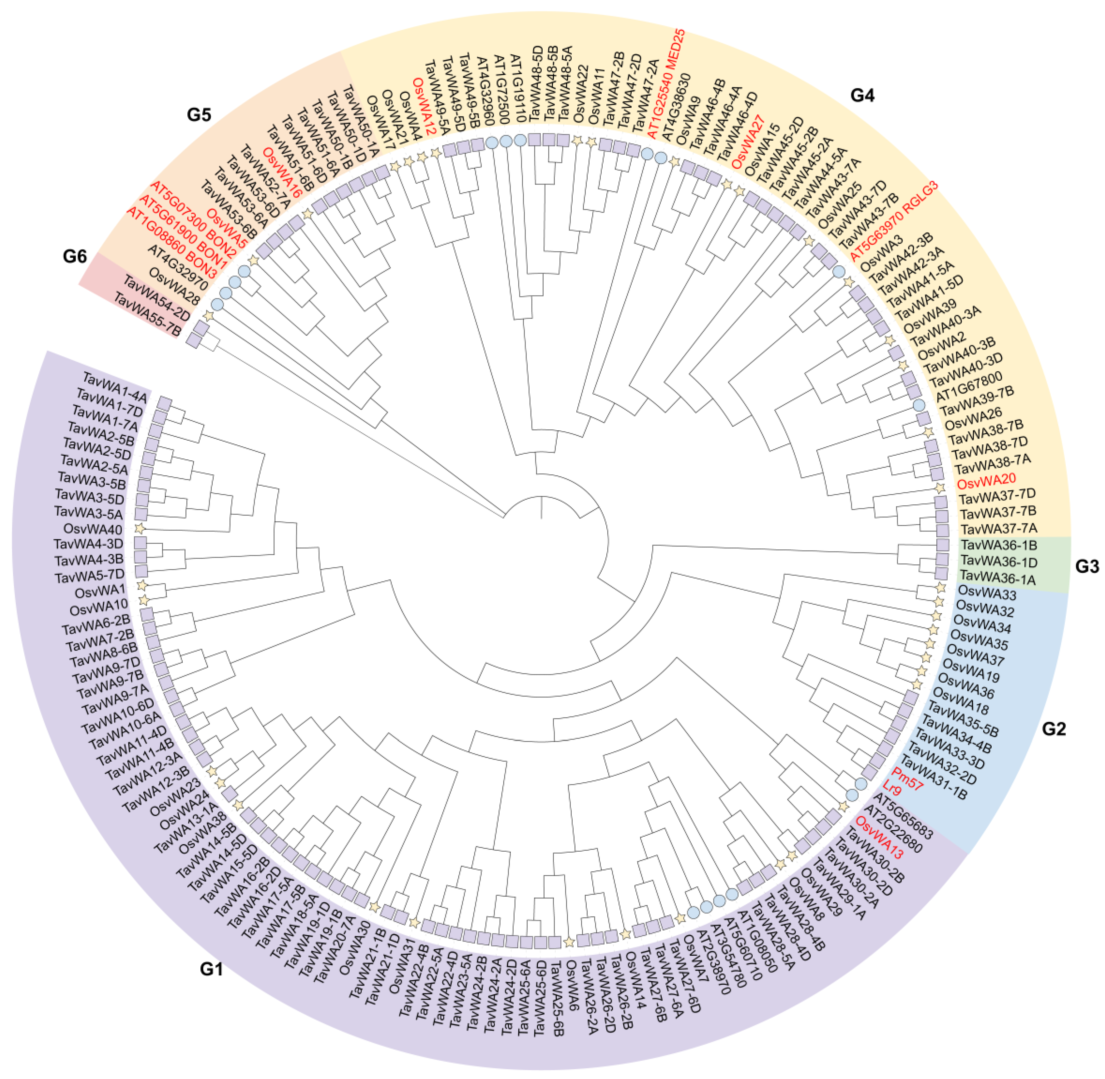 Plants 14 02965 g001 Plants 14 02965 g001