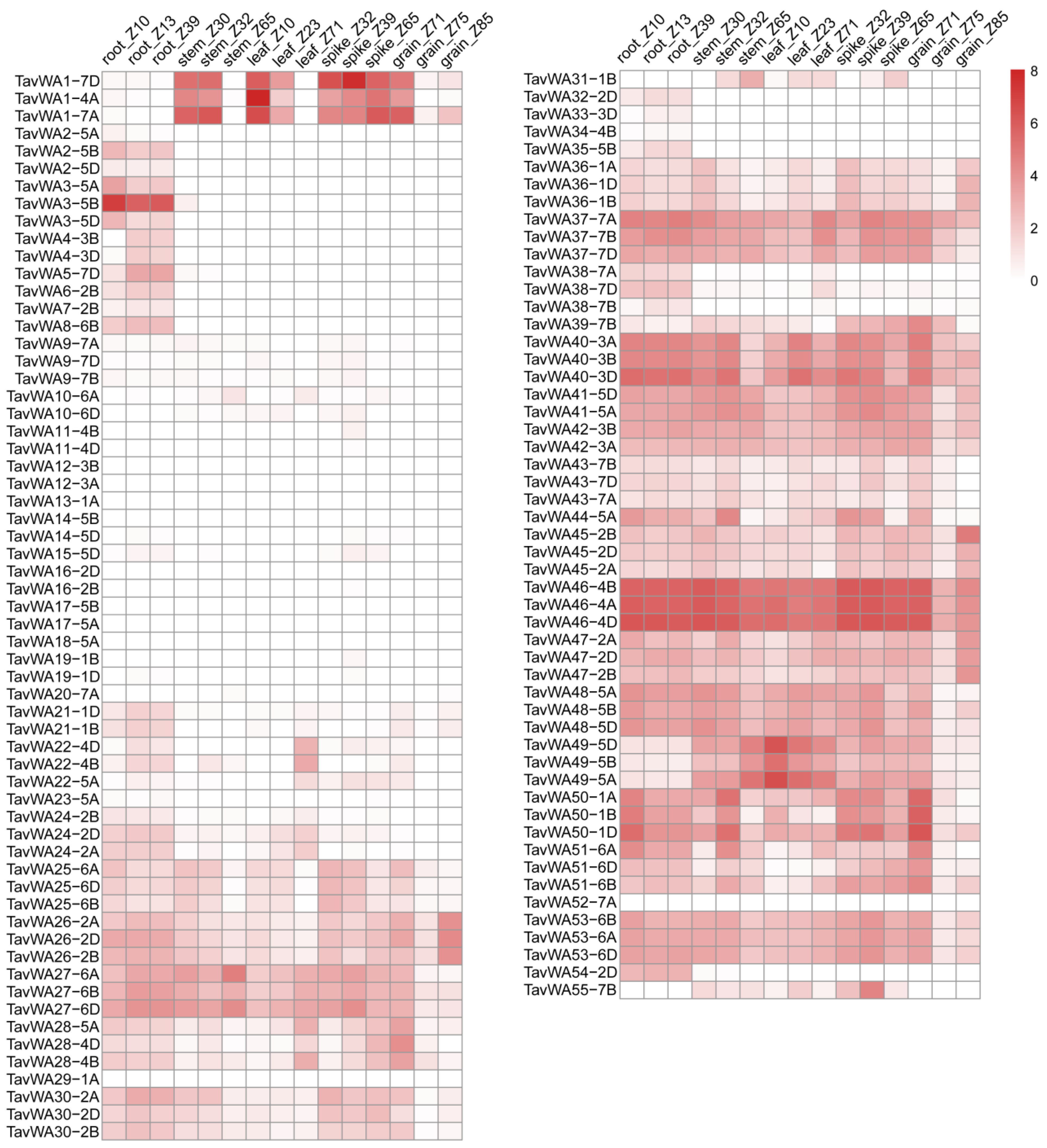 Plants 14 02965 g003 Plants 14 02965 g003