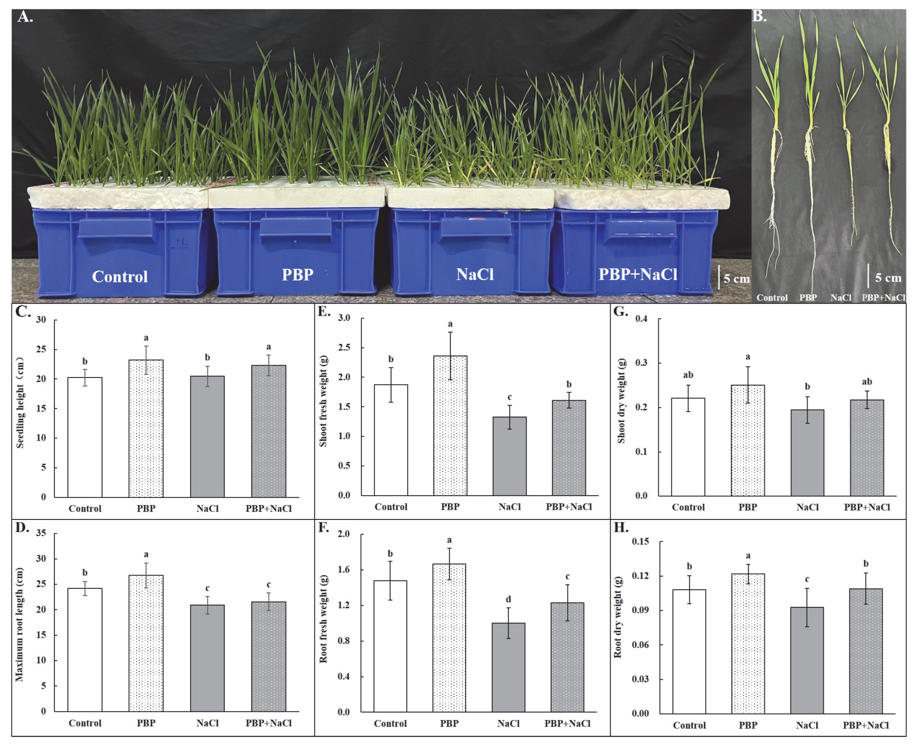 Plants 14 02968 g001