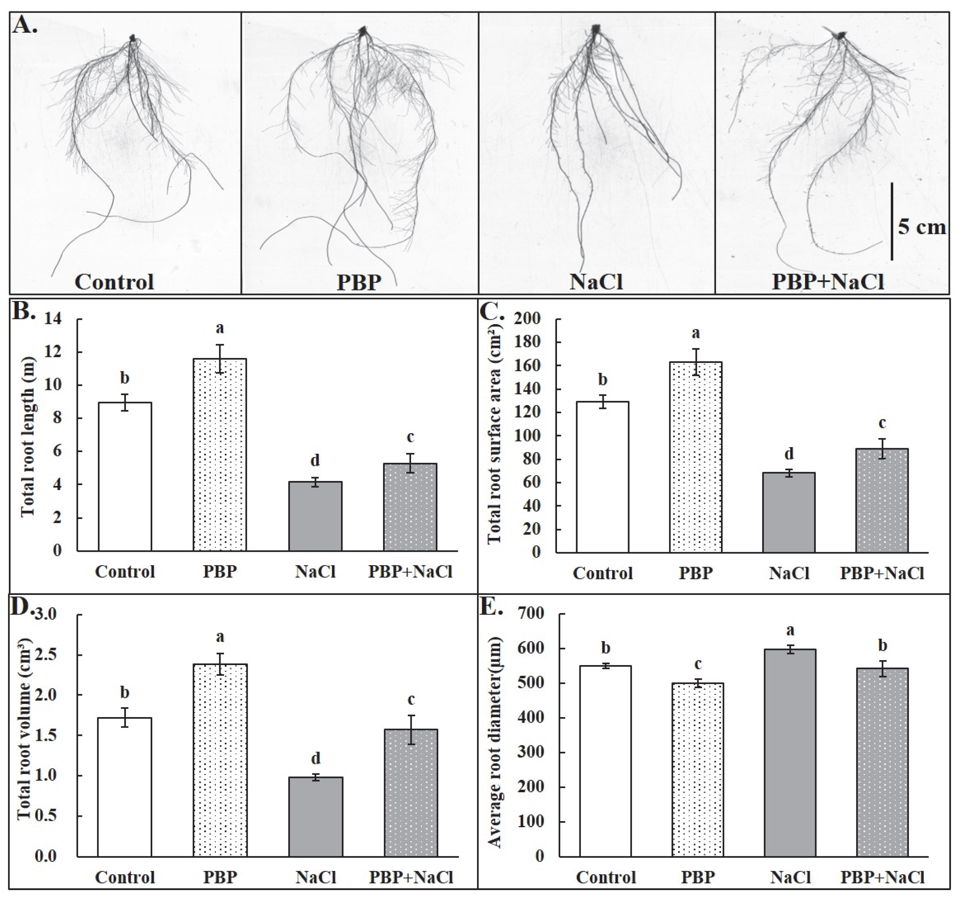 Plants 14 02968 g002