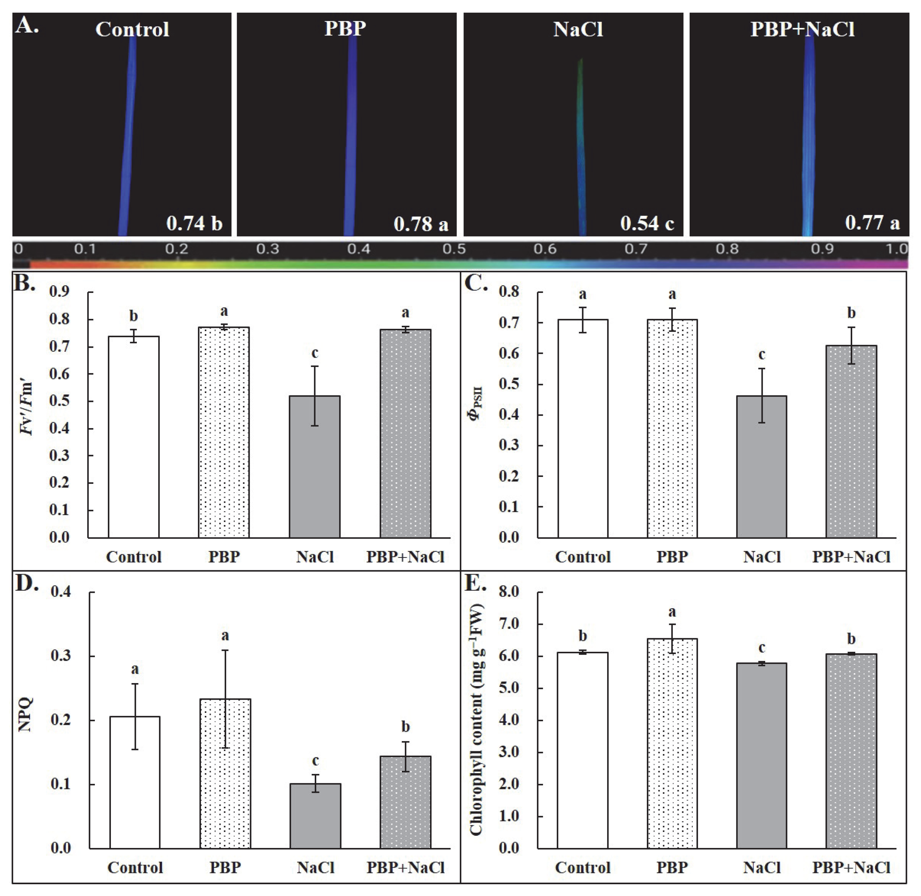 Plants 14 02968 g004