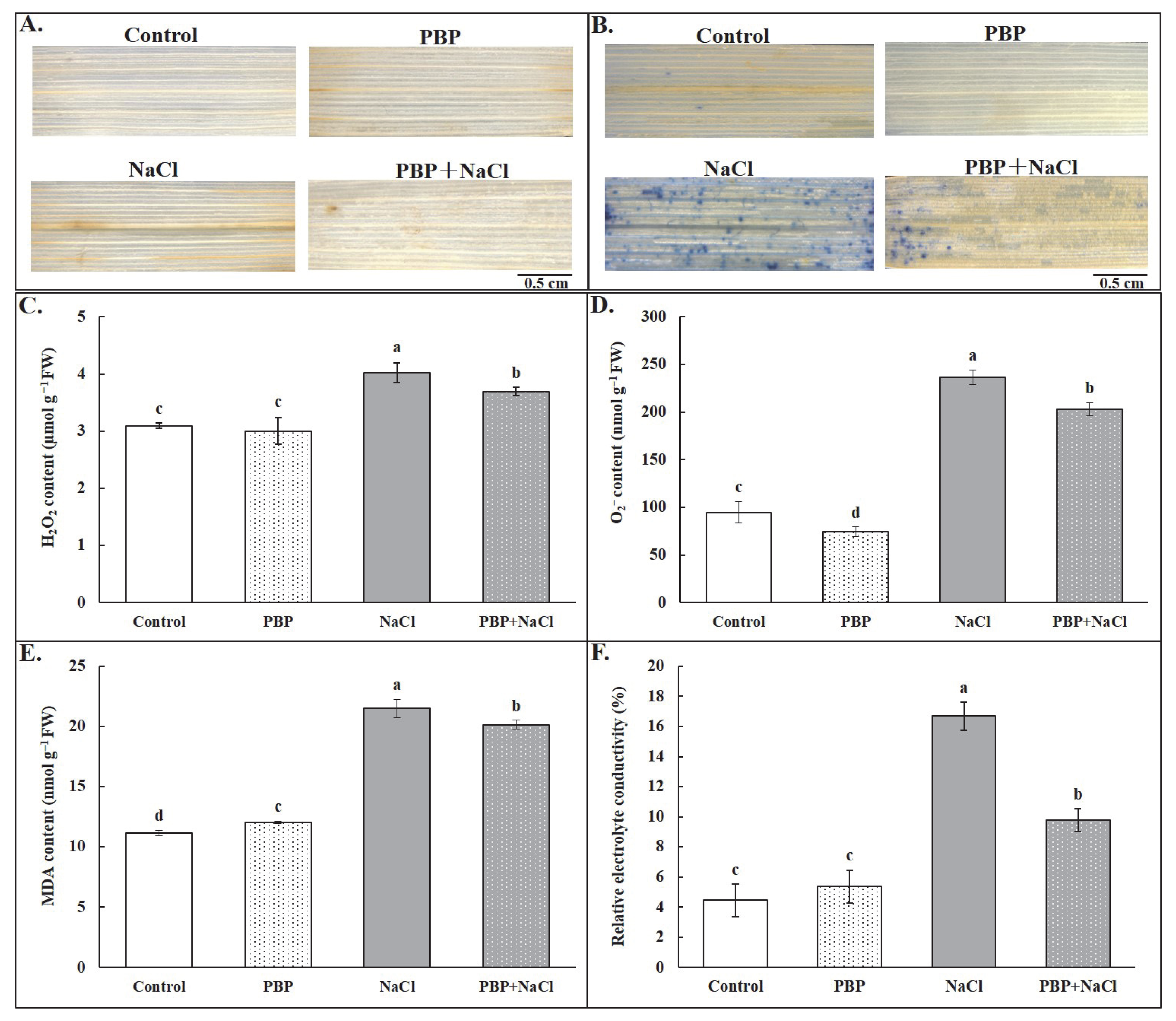 Plants 14 02968 g005
