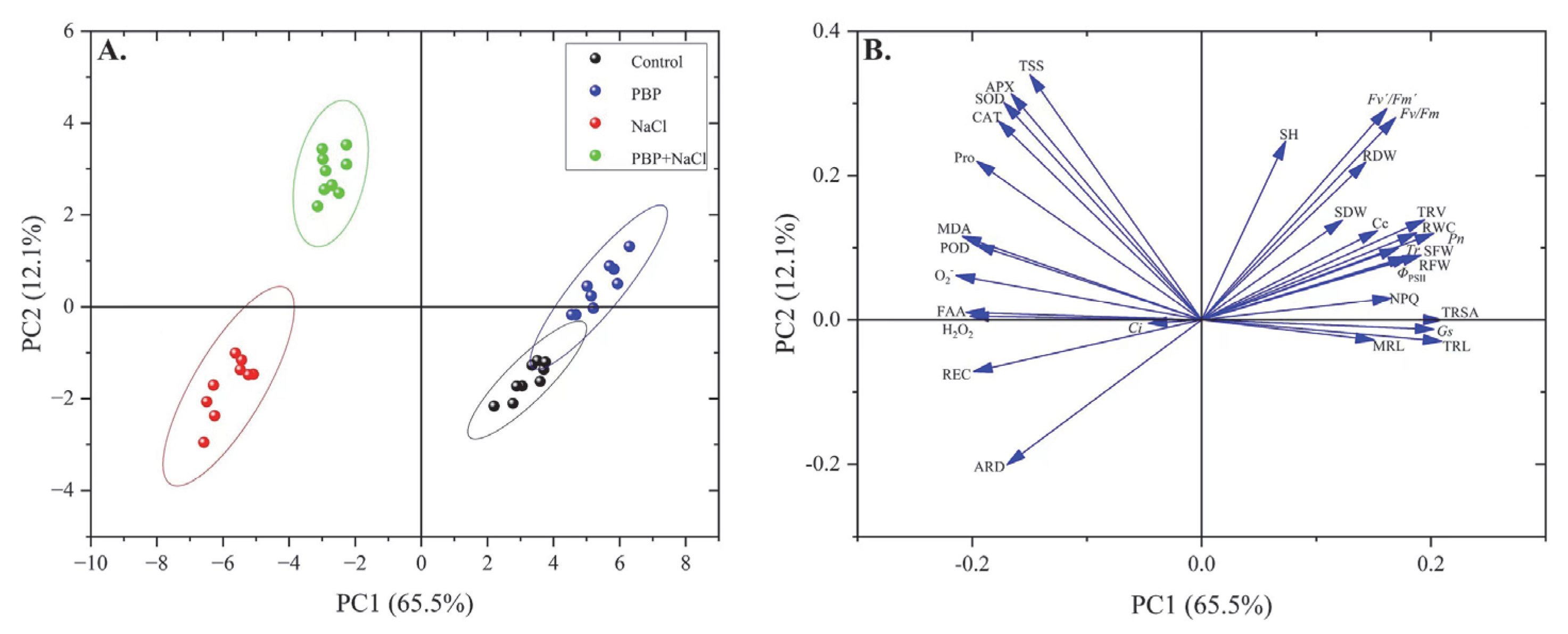 Plants 14 02968 g008