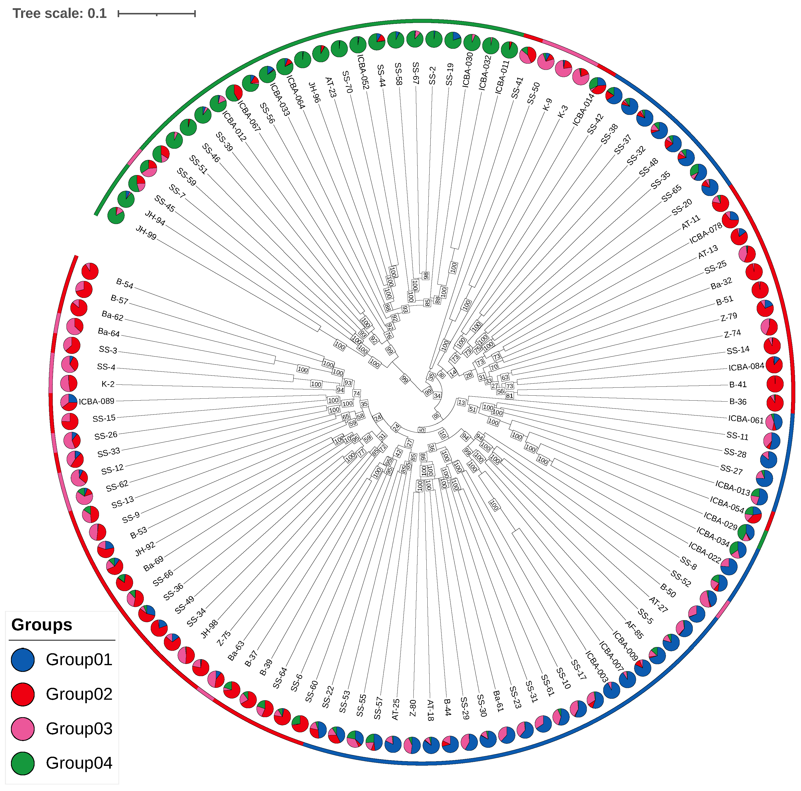 Plants 14 02970 g008 Plants 14 02970 g008