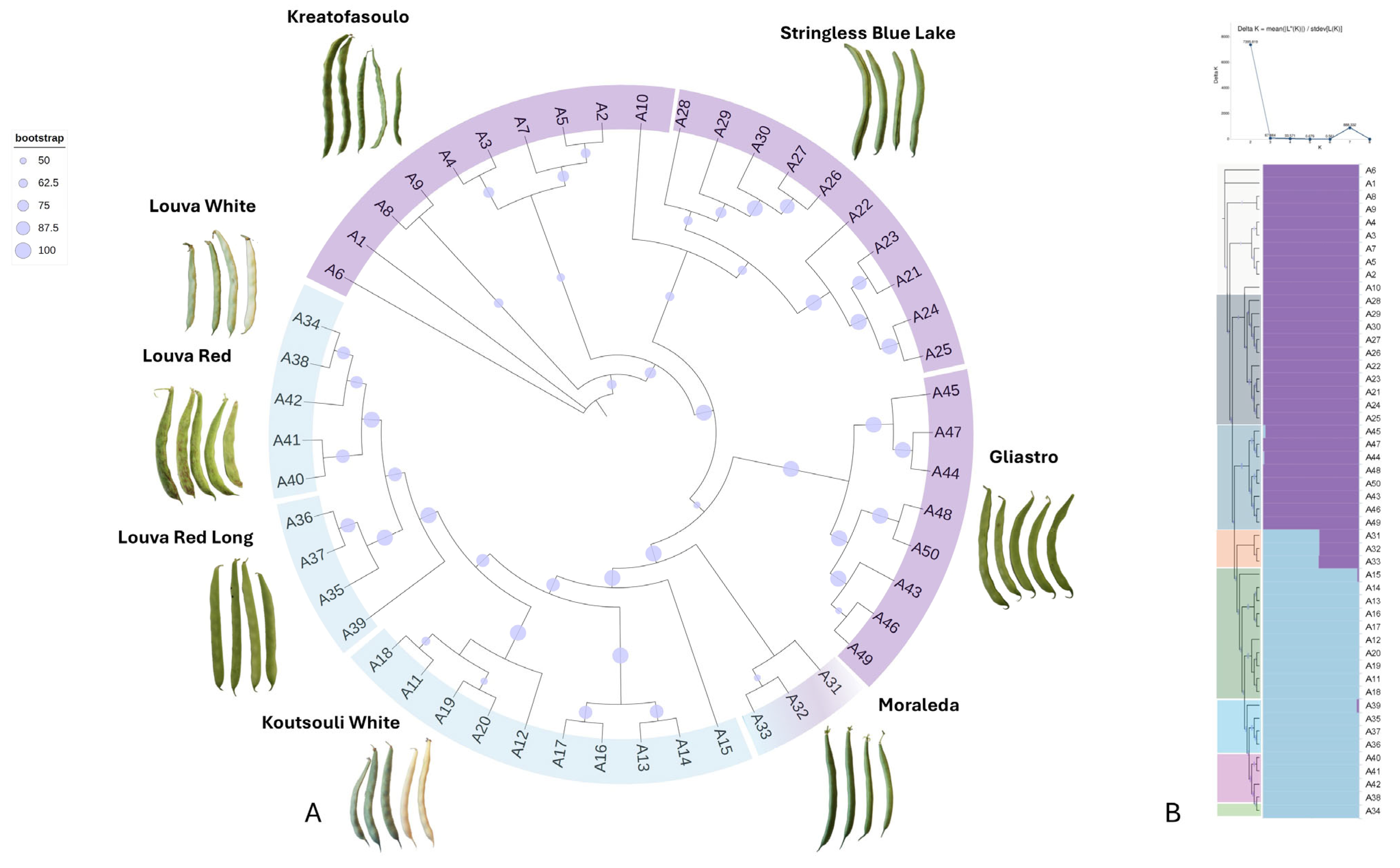 Plants 14 03000 g007 Plants 14 03000 g007
