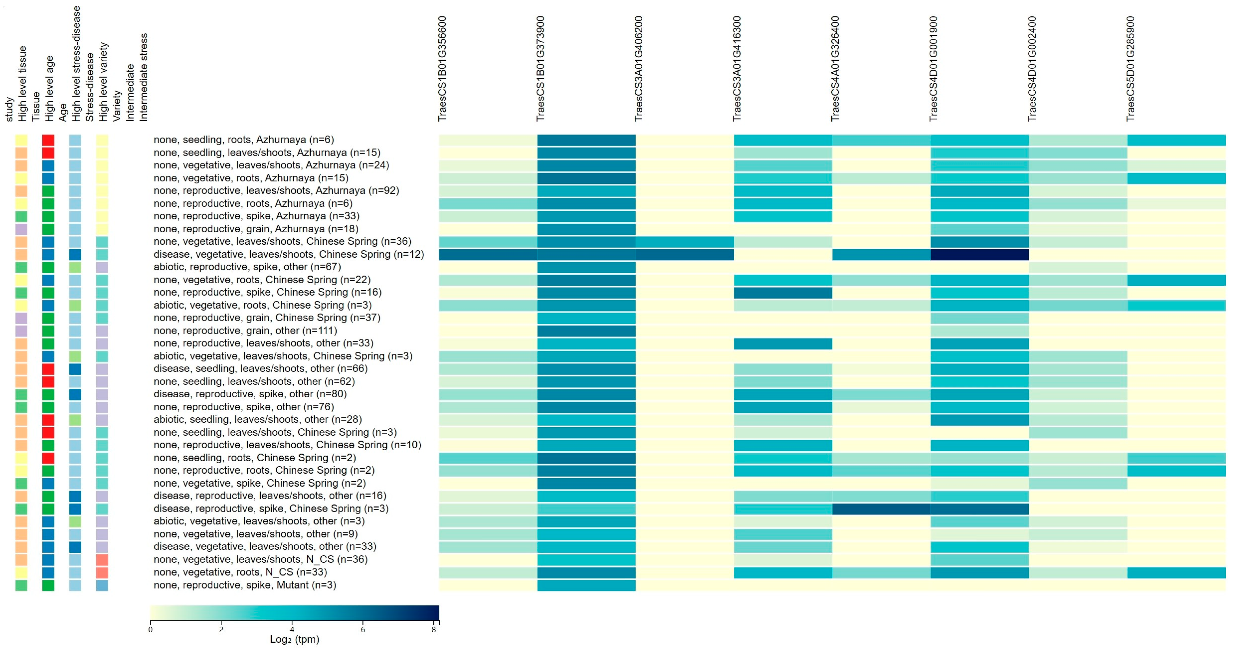 Plants 14 03023 g003