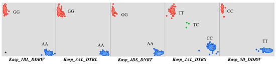 Plants 14 03023 g0a2