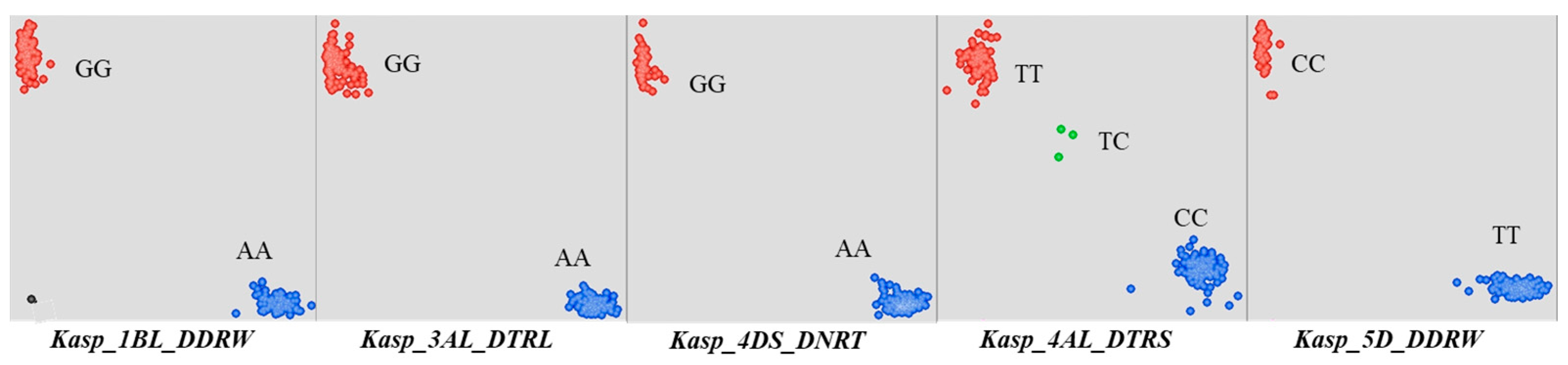 Plants 14 03023 g0a2