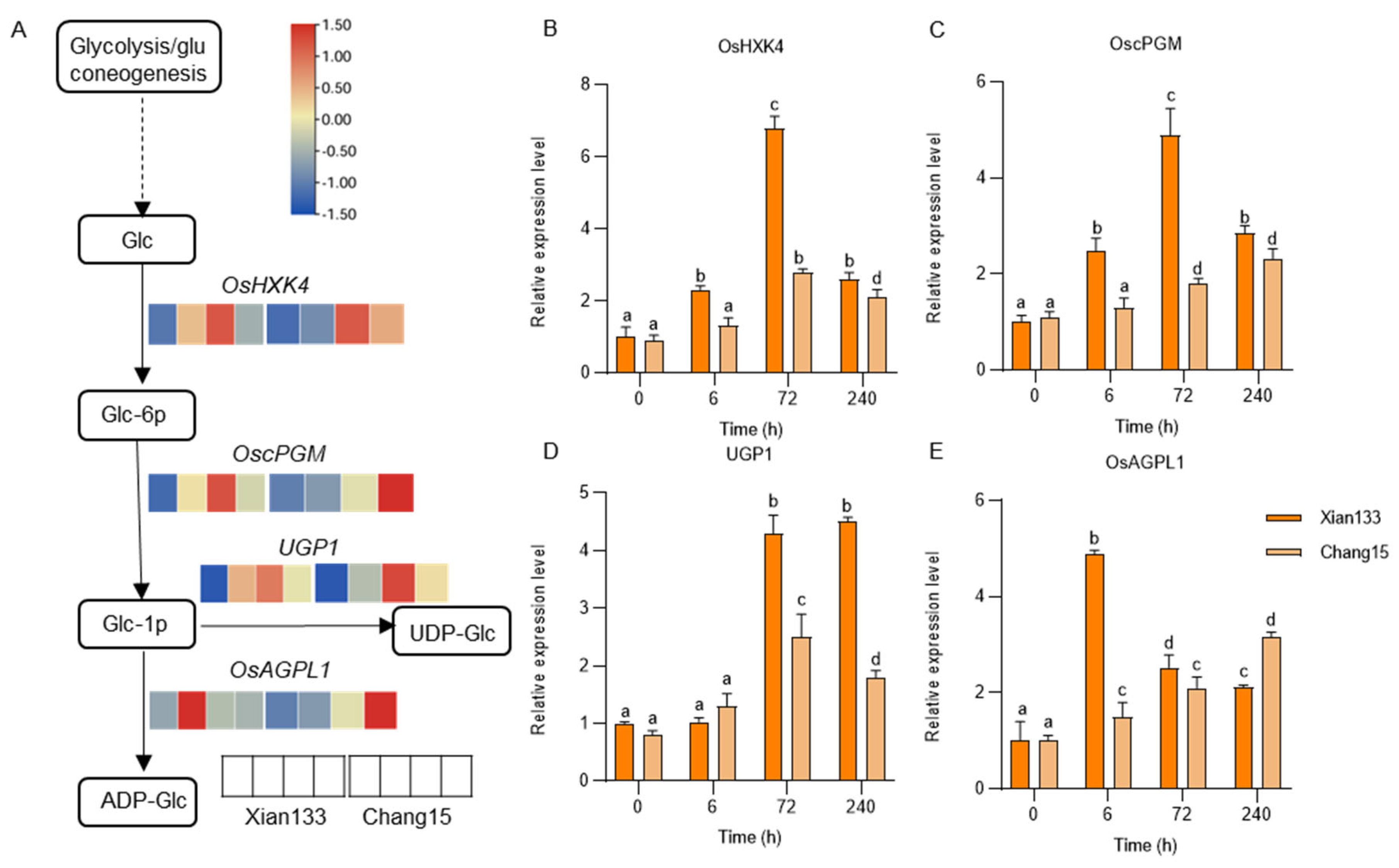 Plants 14 03033 g004