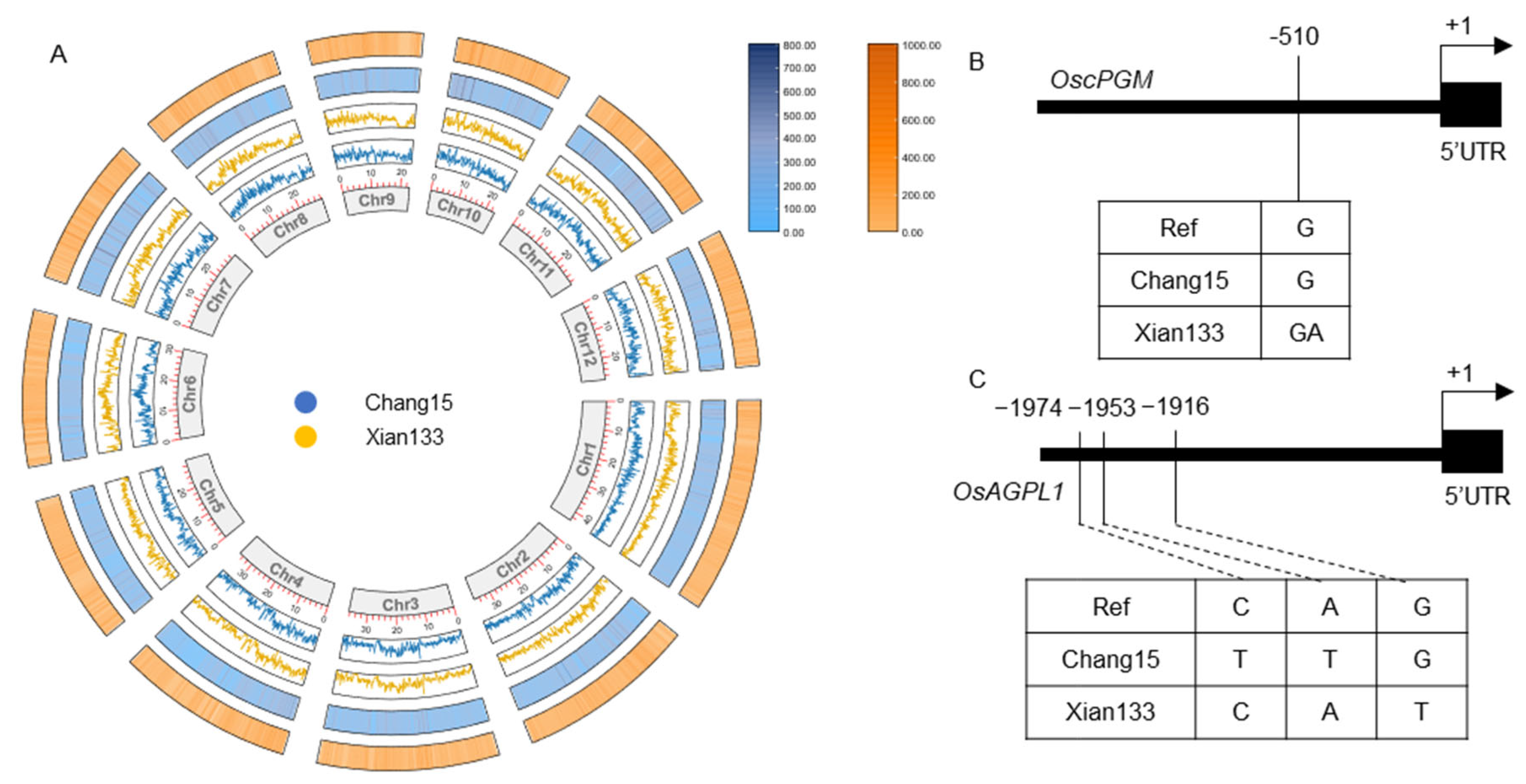 Plants 14 03033 g005