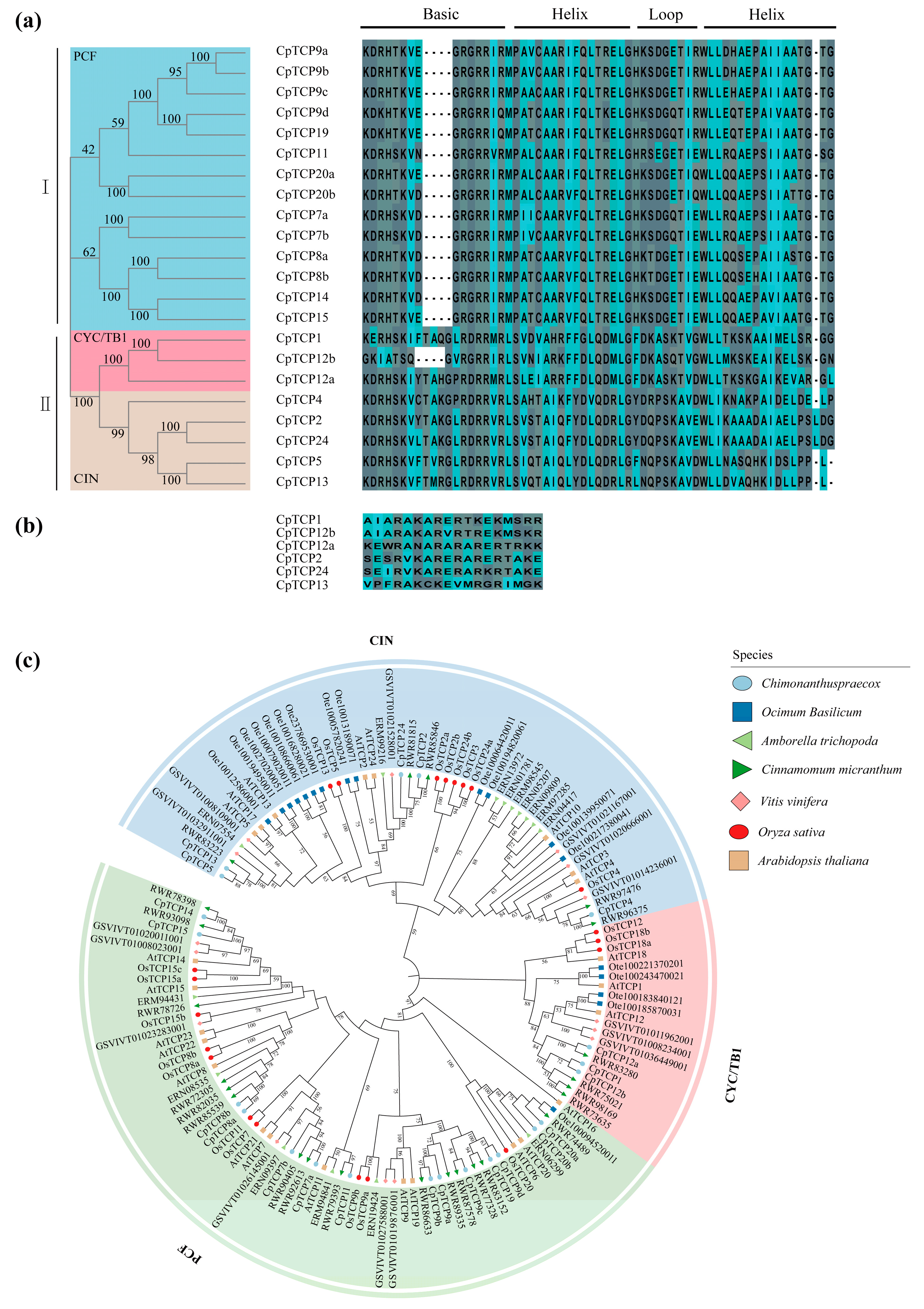 Plants 14 03039 g001