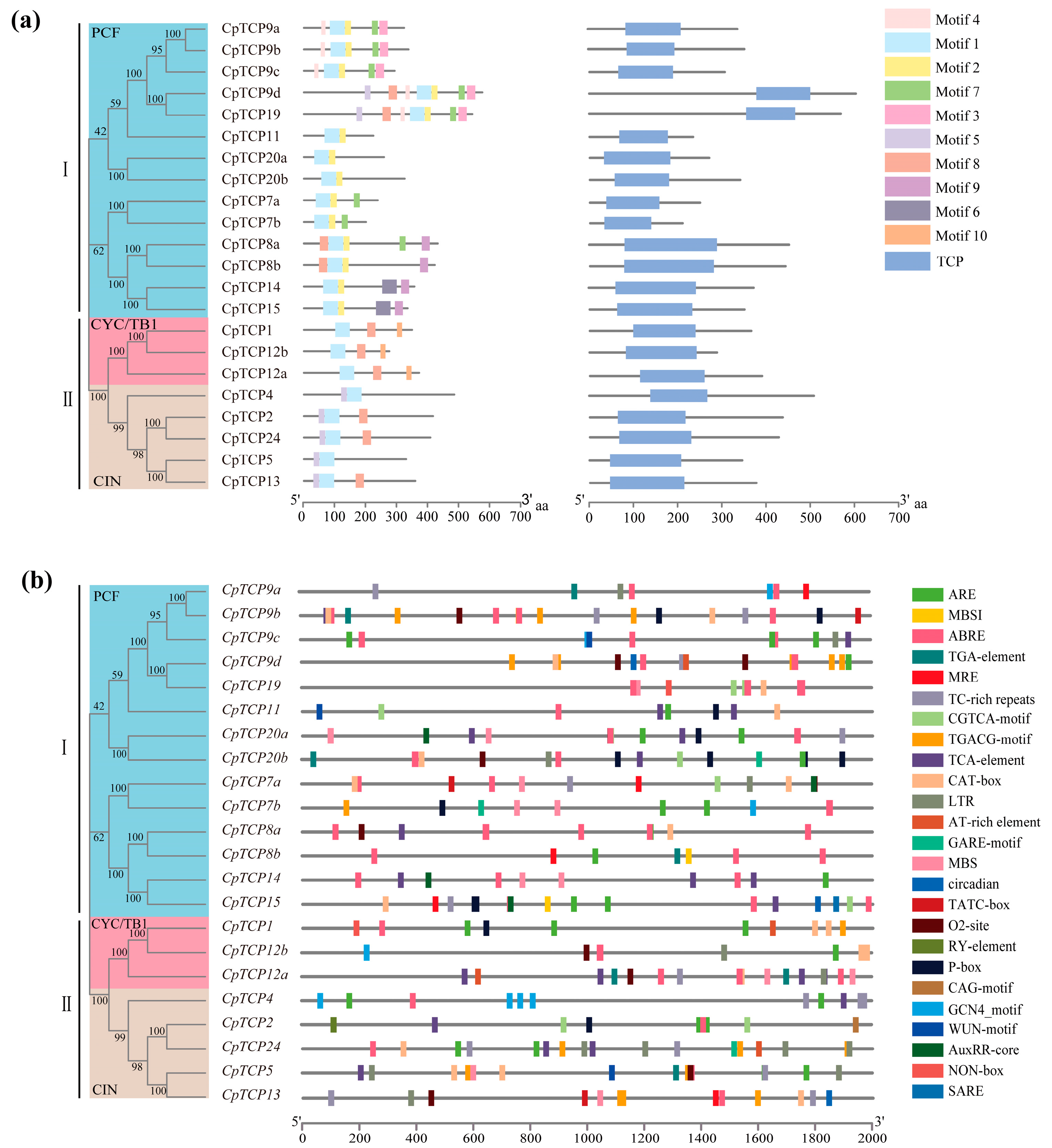 Plants 14 03039 g002