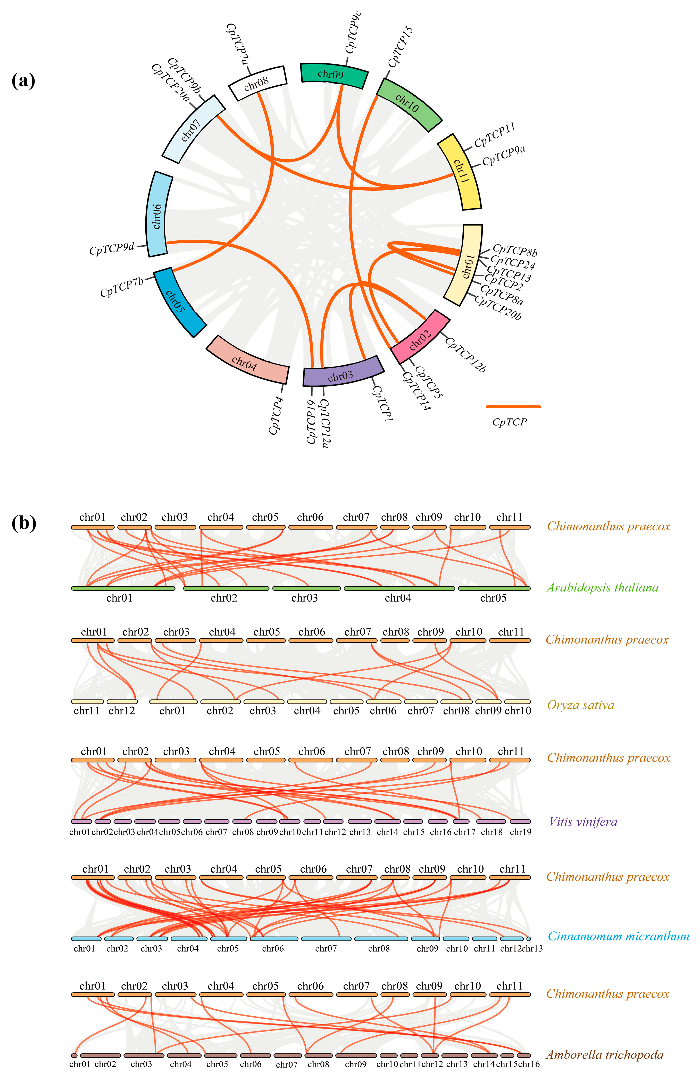 Plants 14 03039 g003