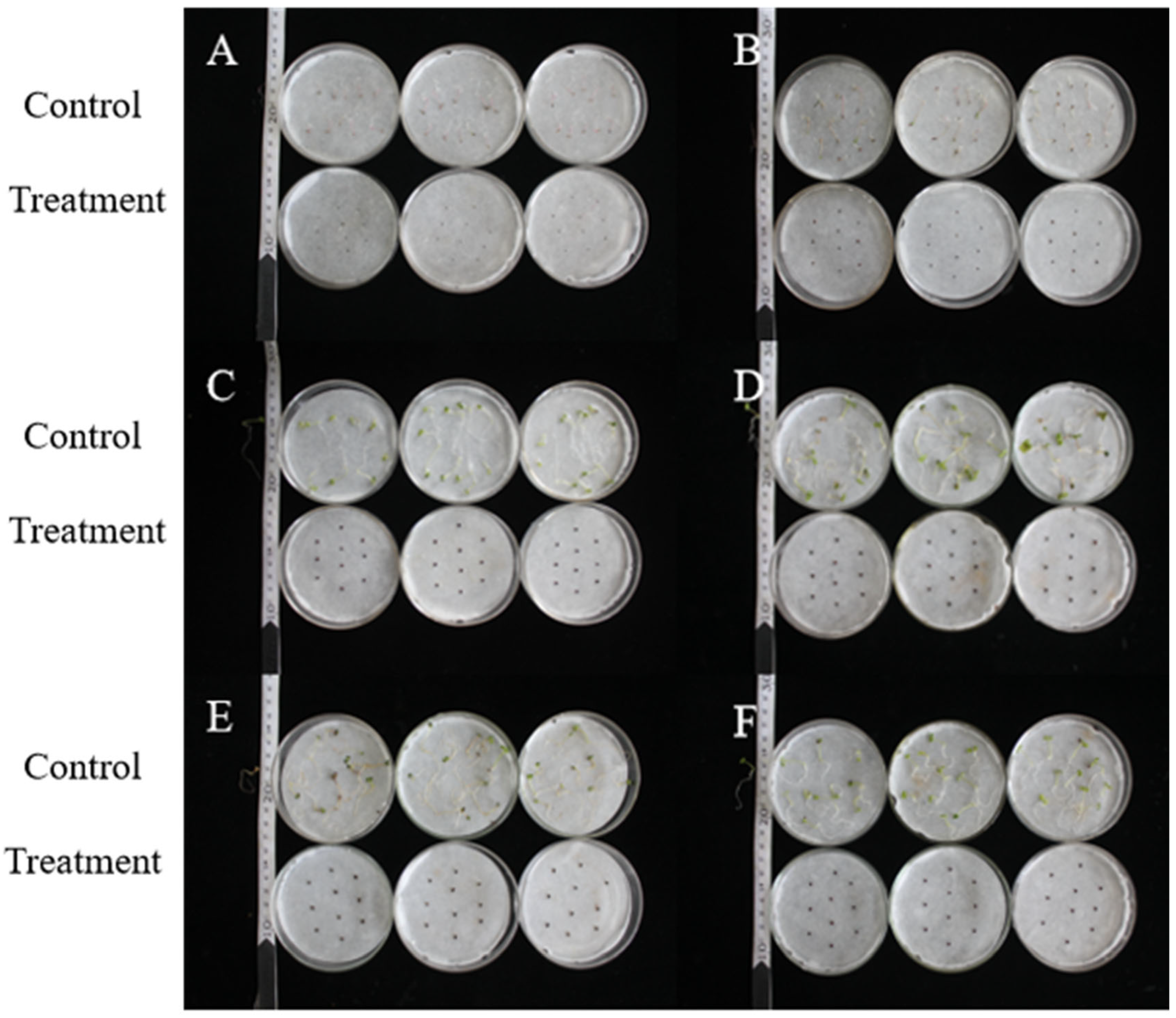 Plants 14 03041 g005 Plants 14 03041 g005