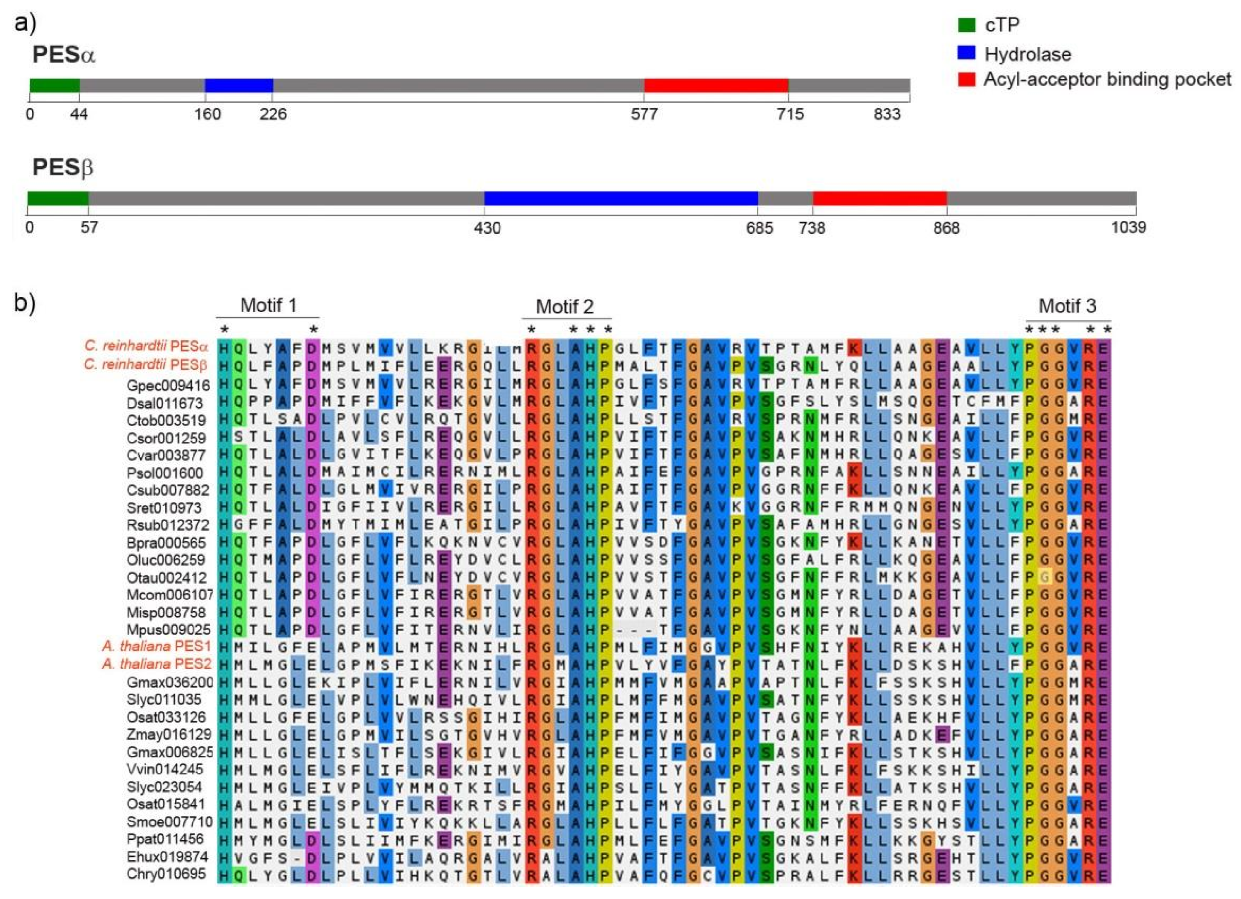 Plants 14 03044 g002