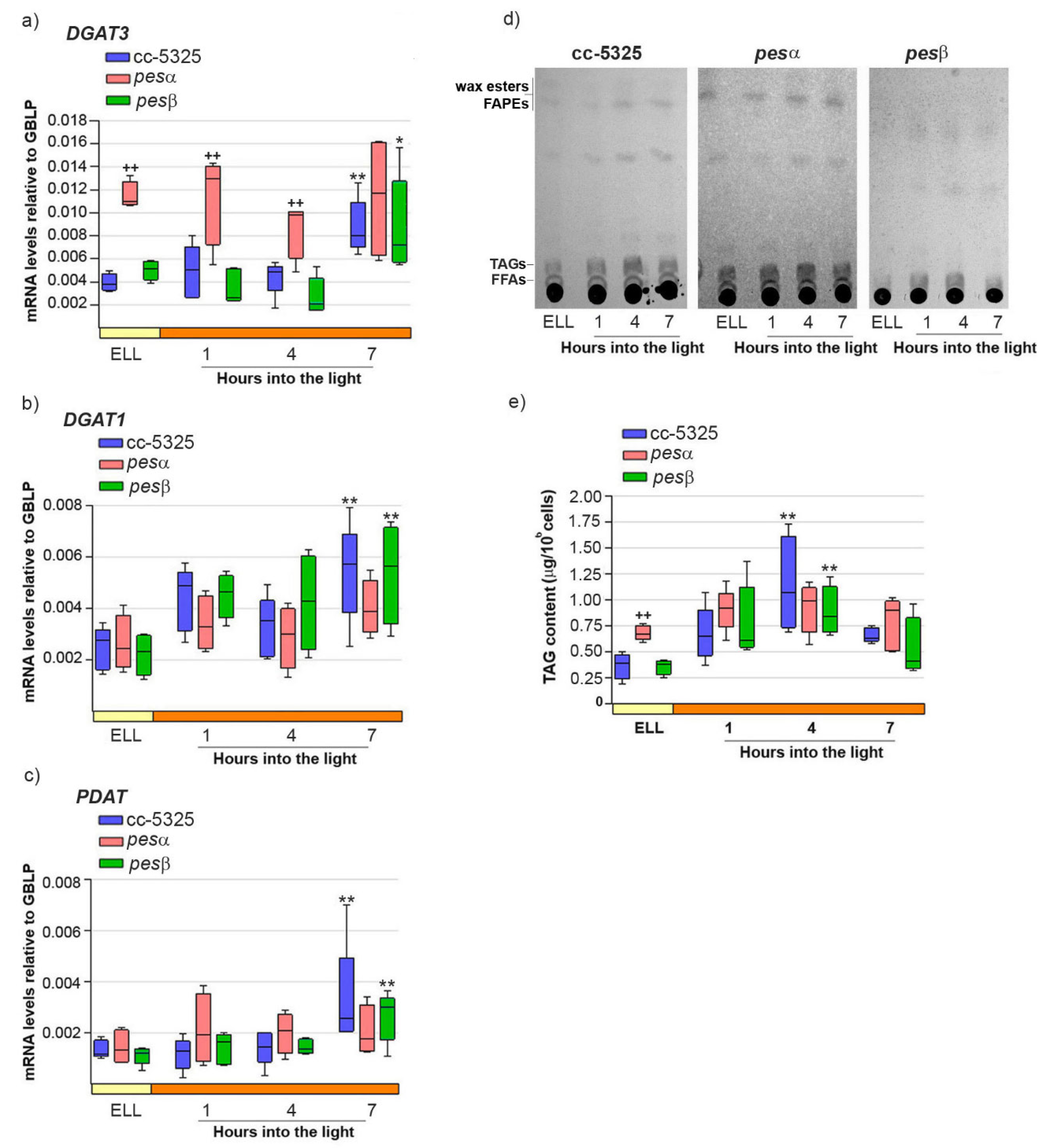 Plants 14 03044 g005