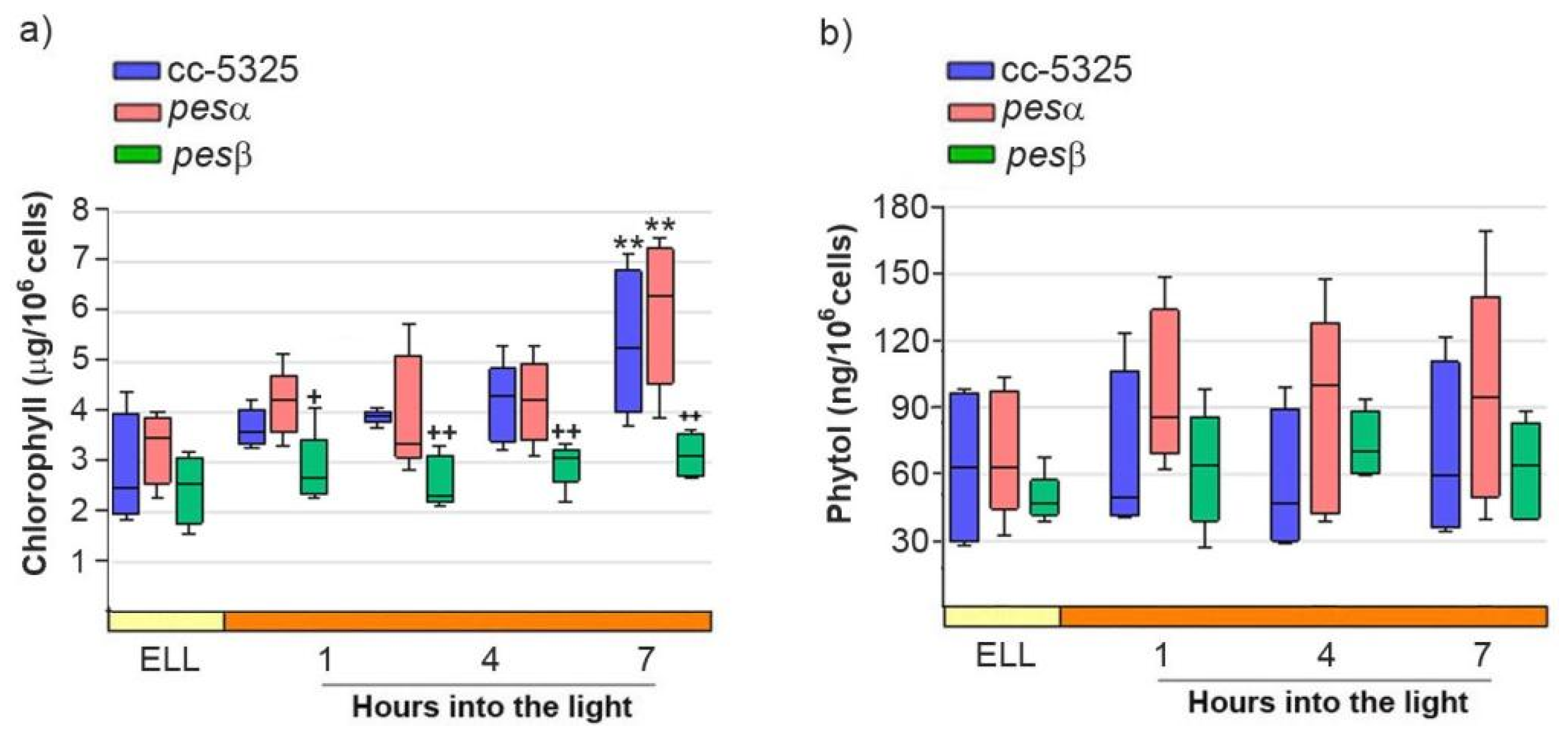 Plants 14 03044 g006