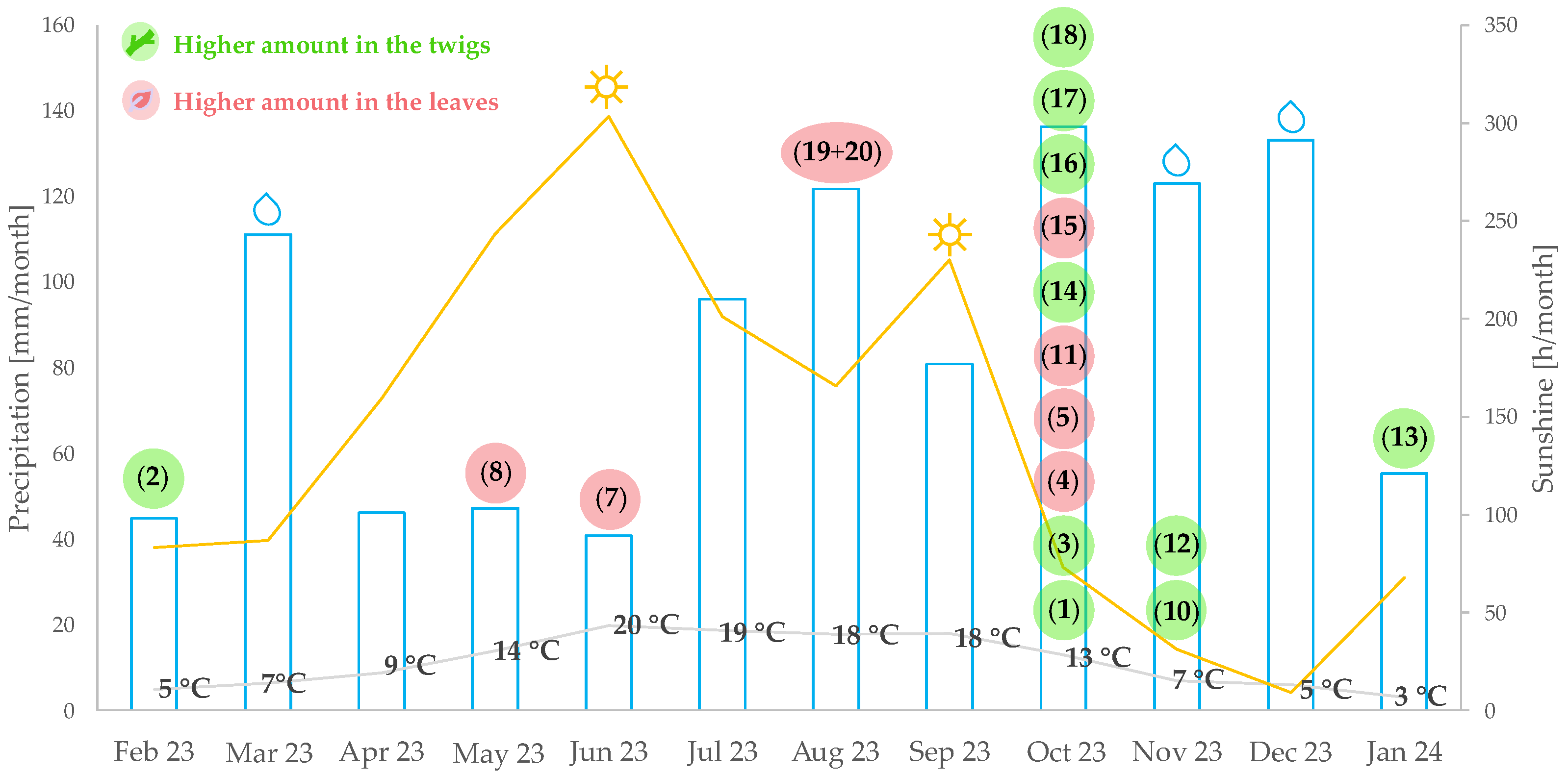 Plants 14 03060 g002