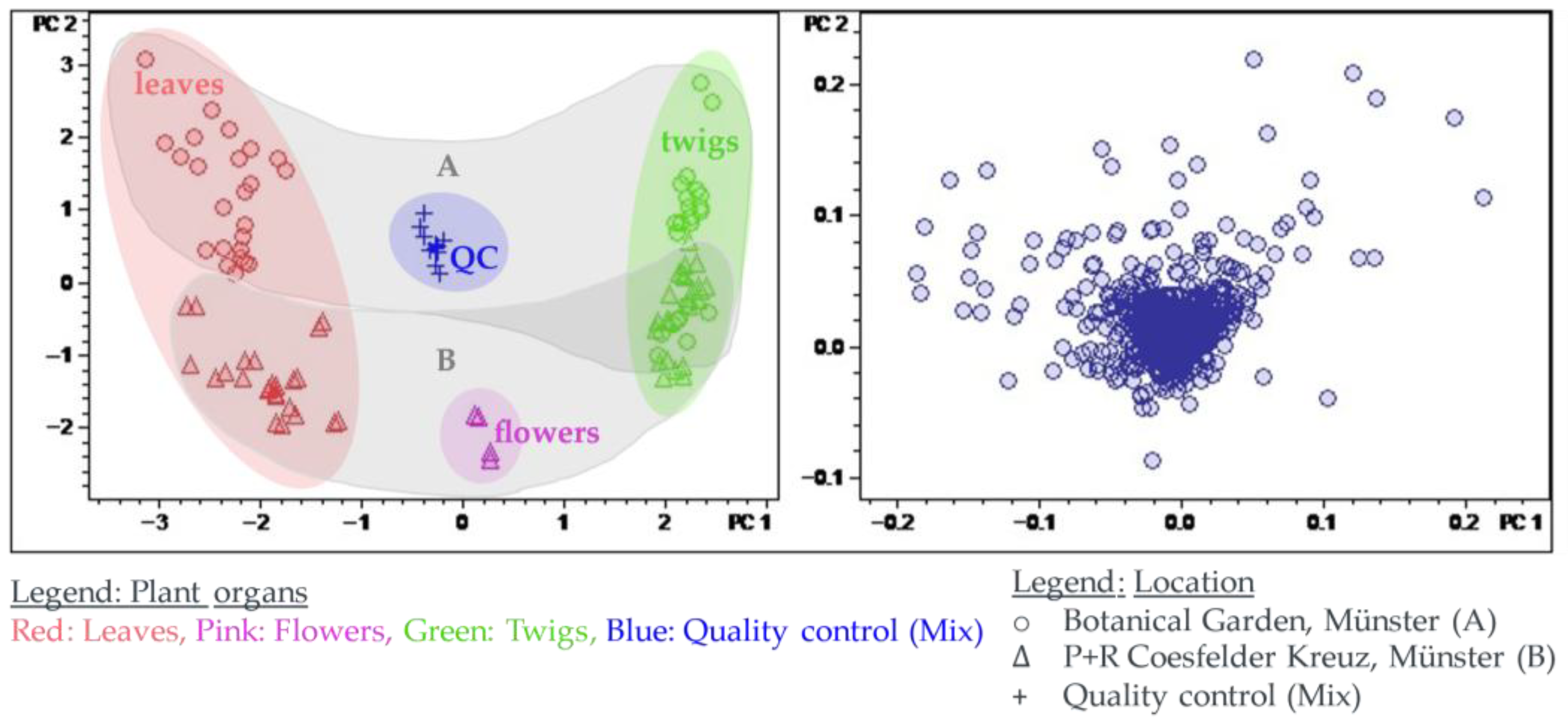 Plants 14 03060 g004
