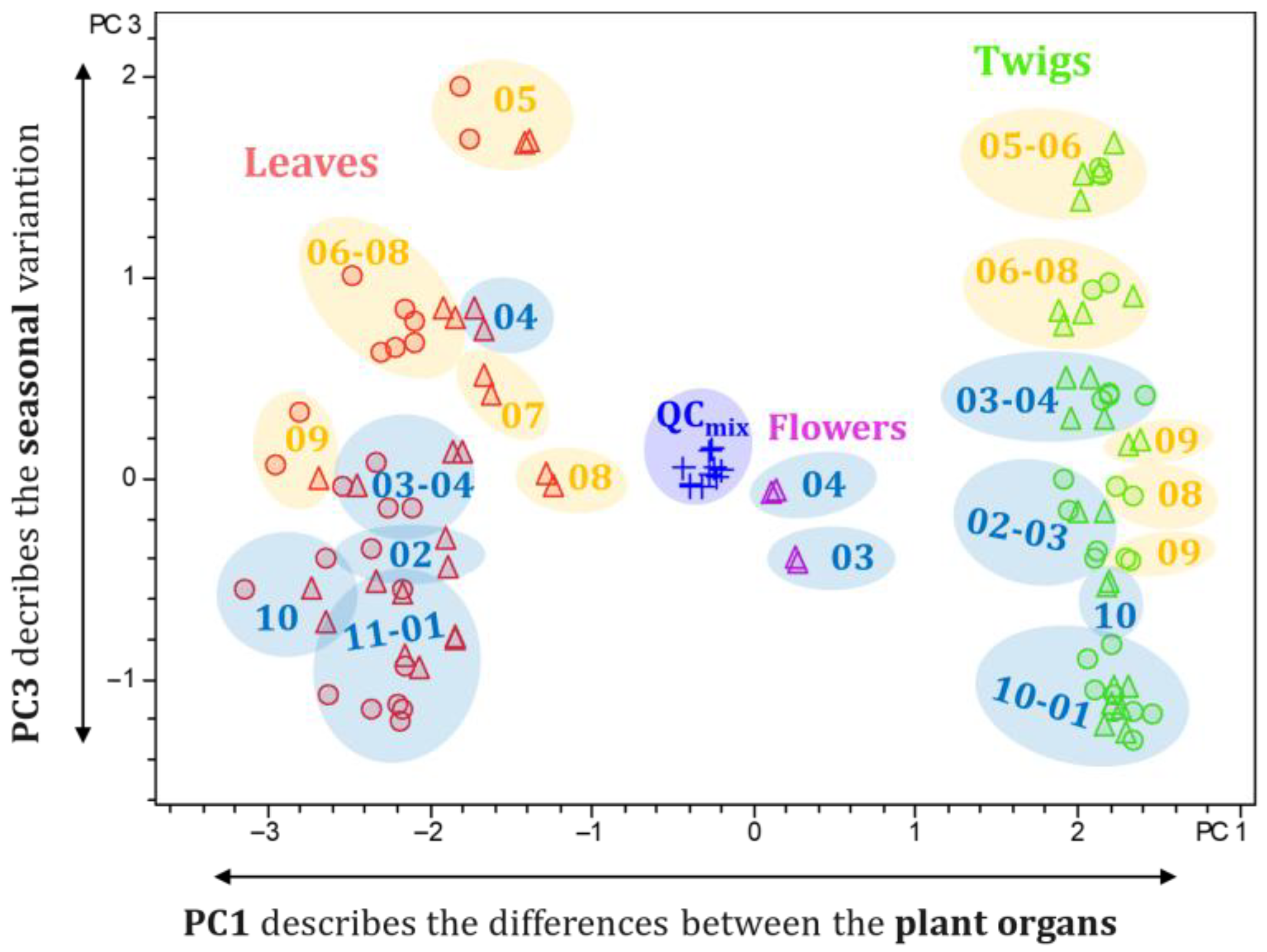 Plants 14 03060 g007
