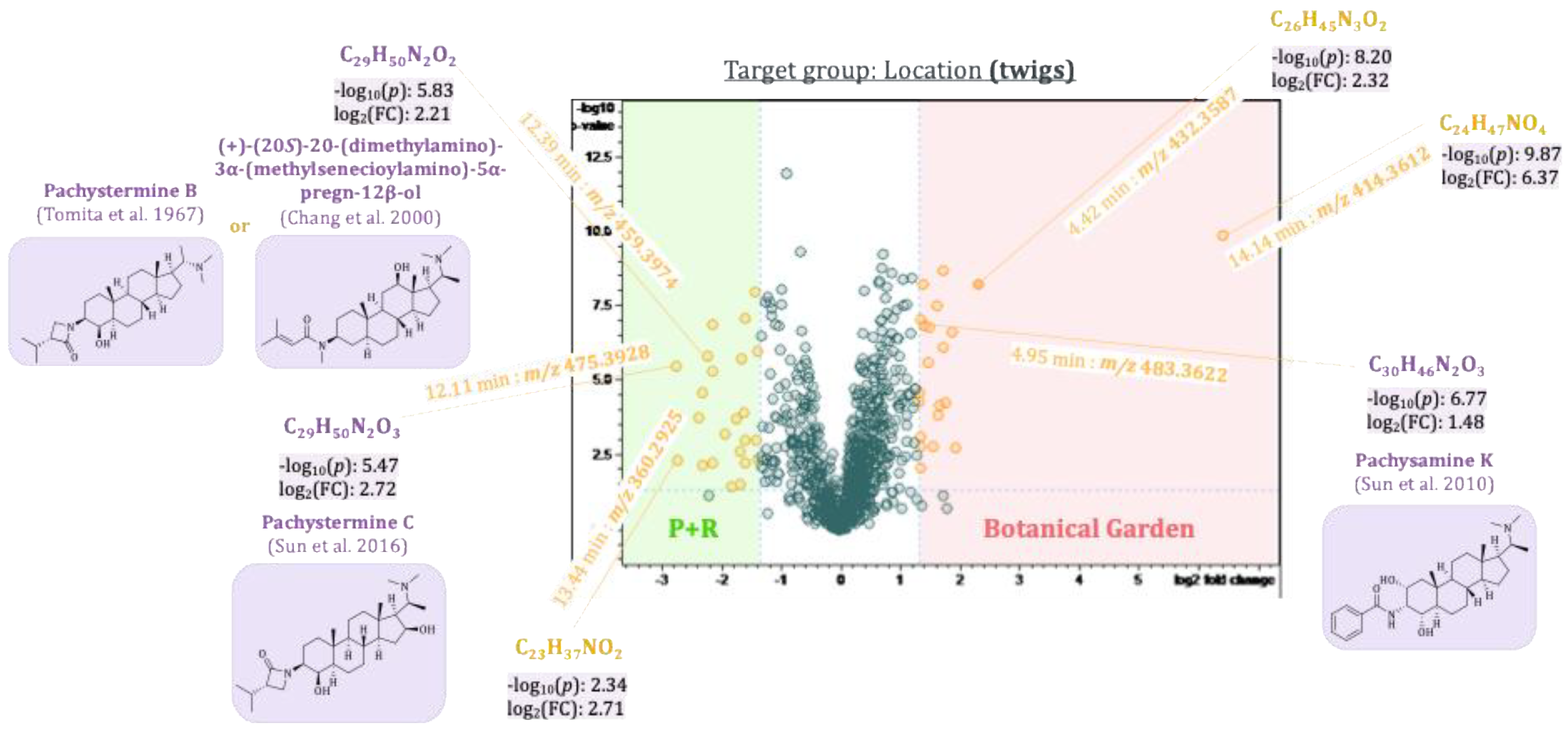 Plants 14 03060 g012