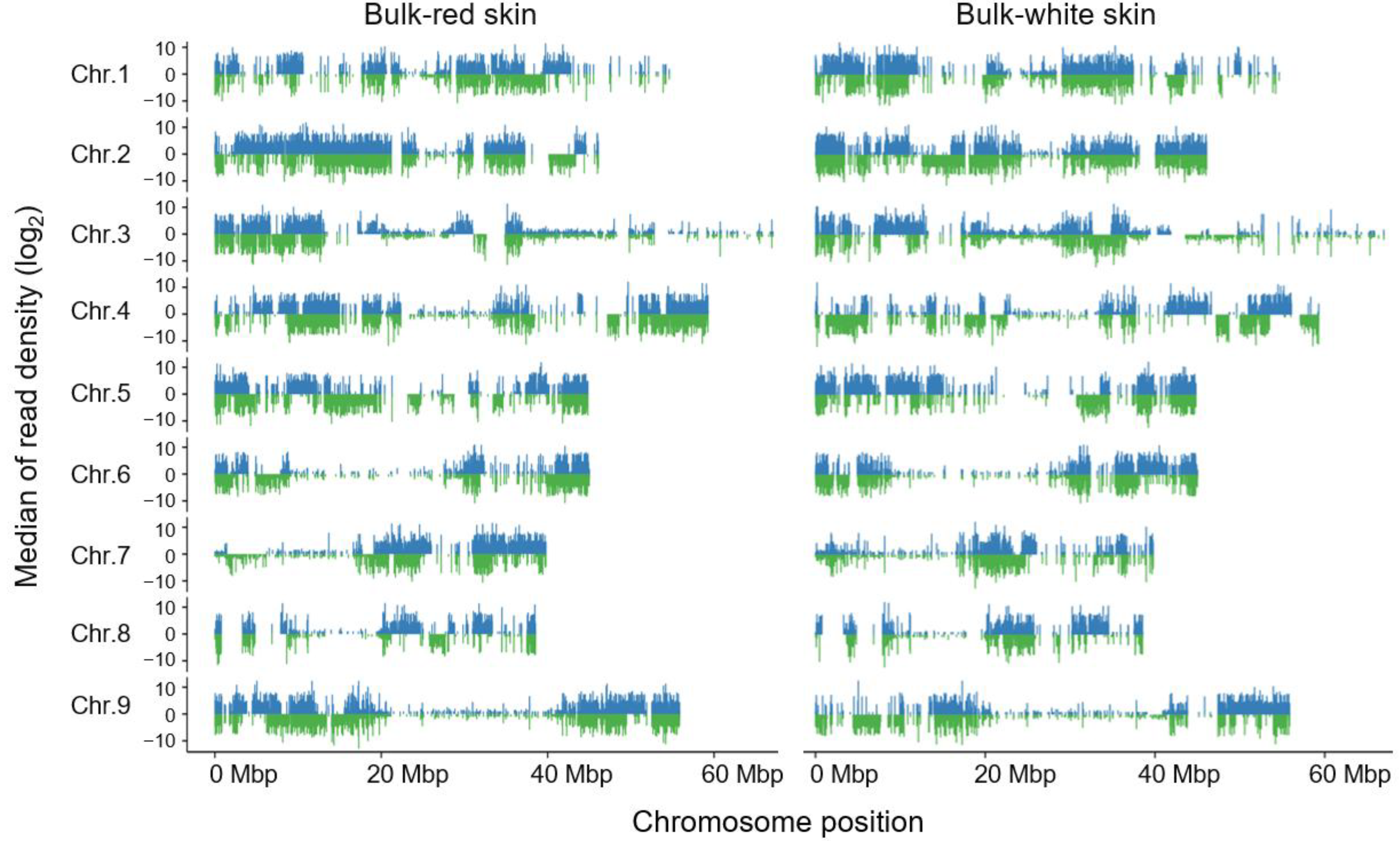 Plants 14 03065 g003