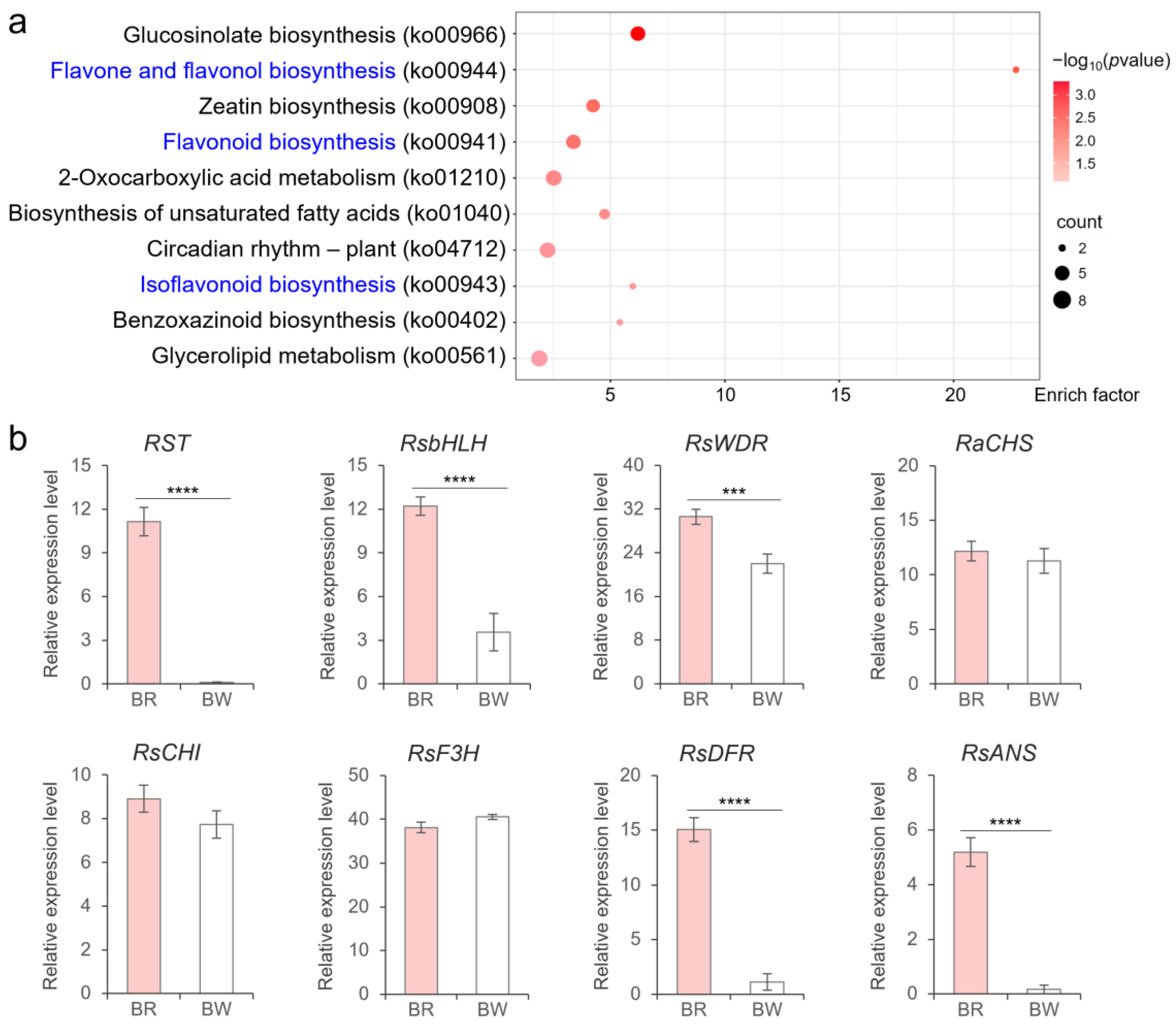 Plants 14 03065 g006