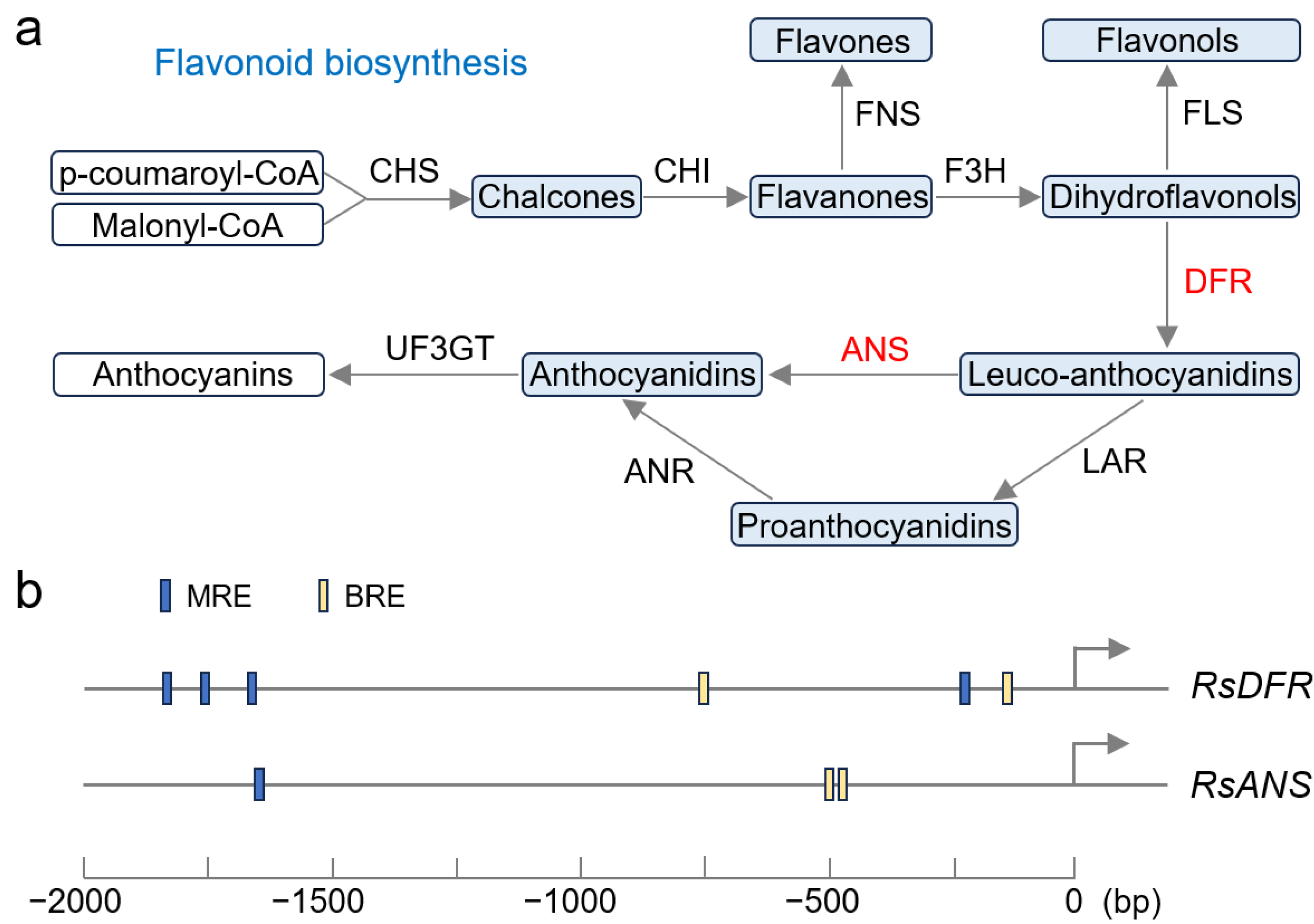 Plants 14 03065 g007