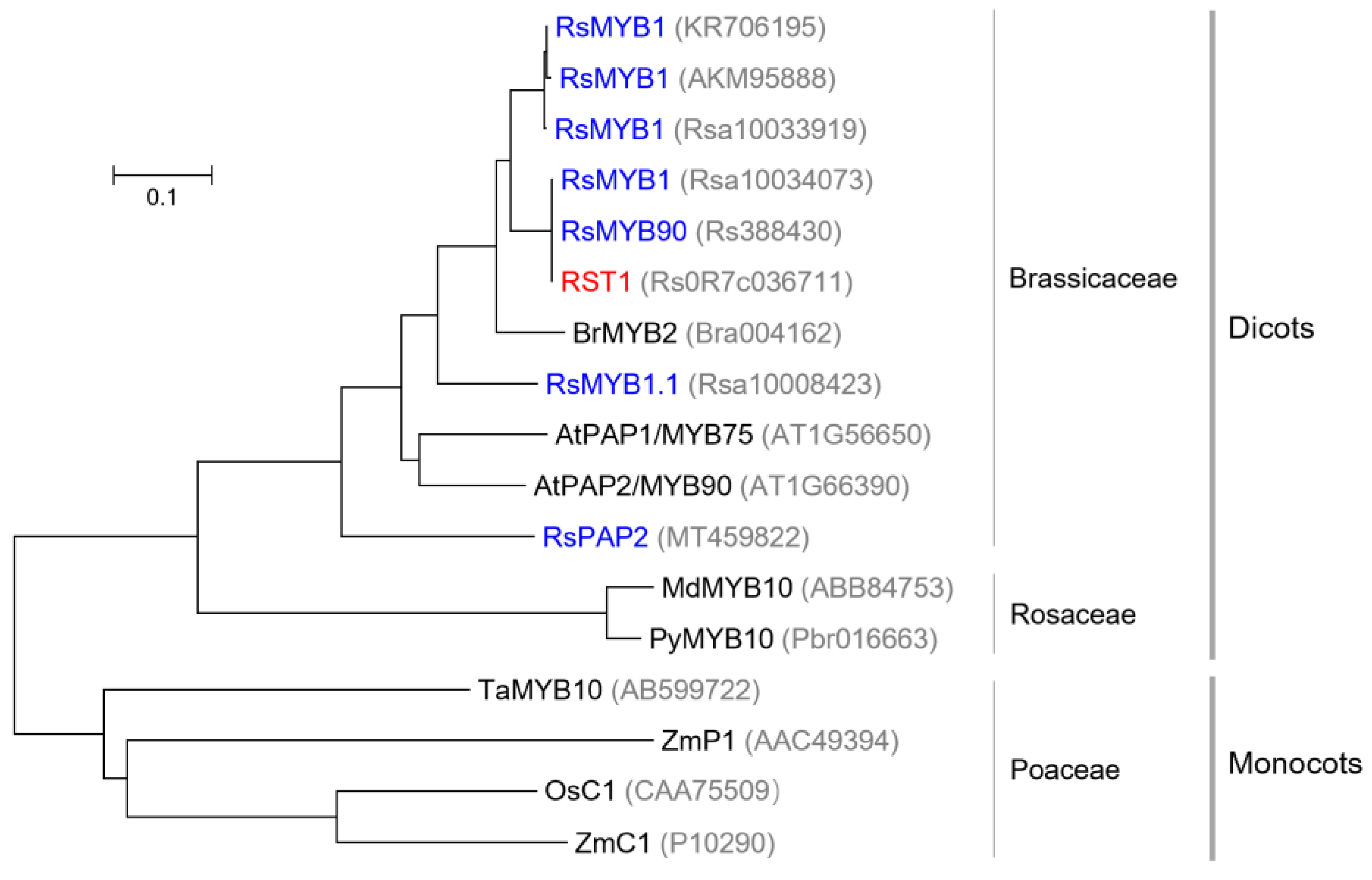 Plants 14 03065 g008