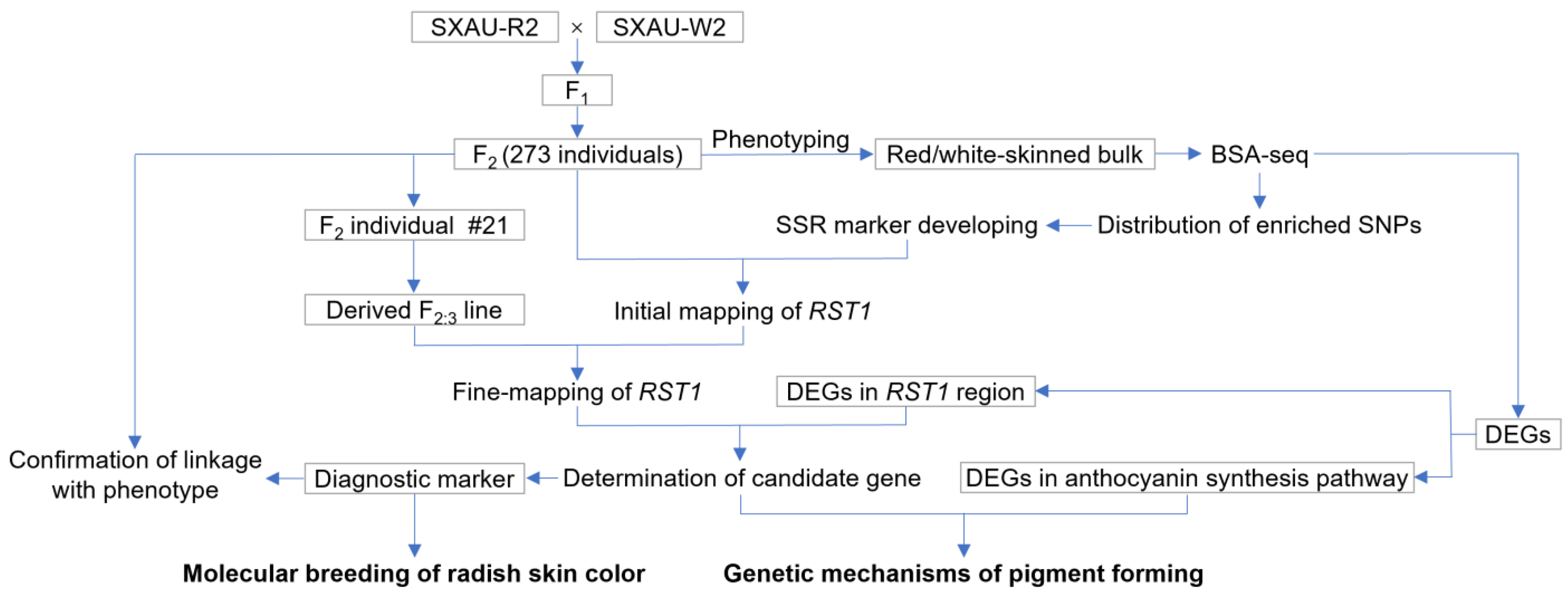 Plants 14 03065 g009