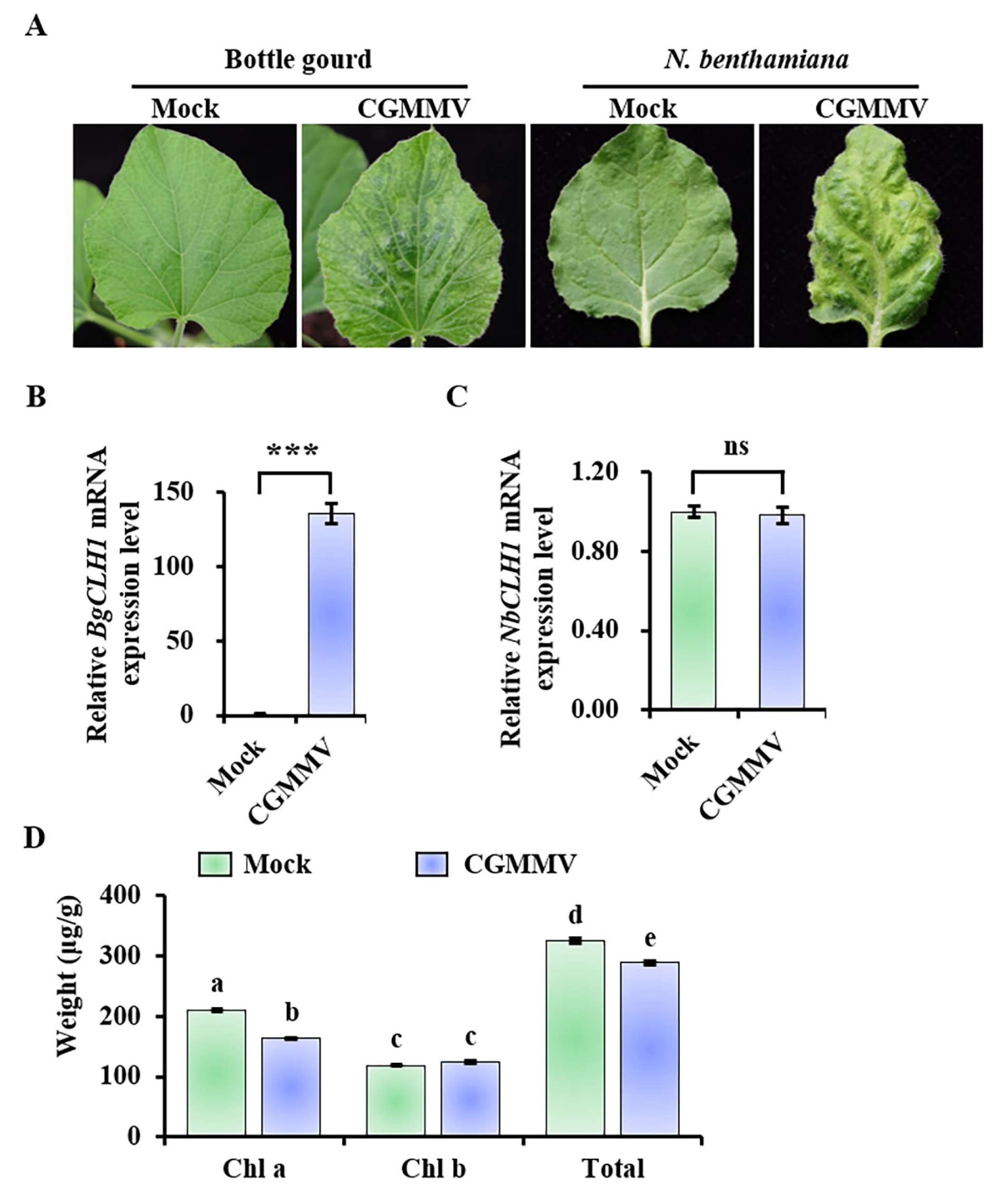 Plants 14 03086 g001