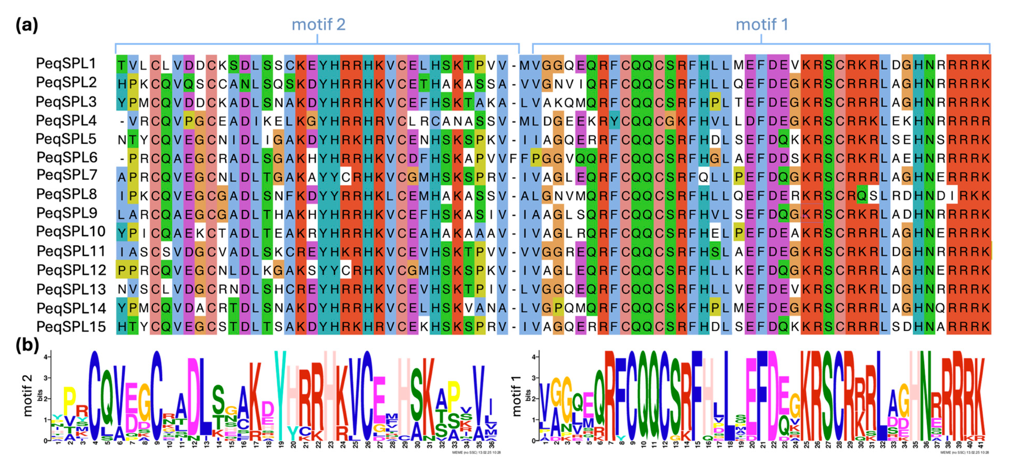 Plants 14 03090 g003